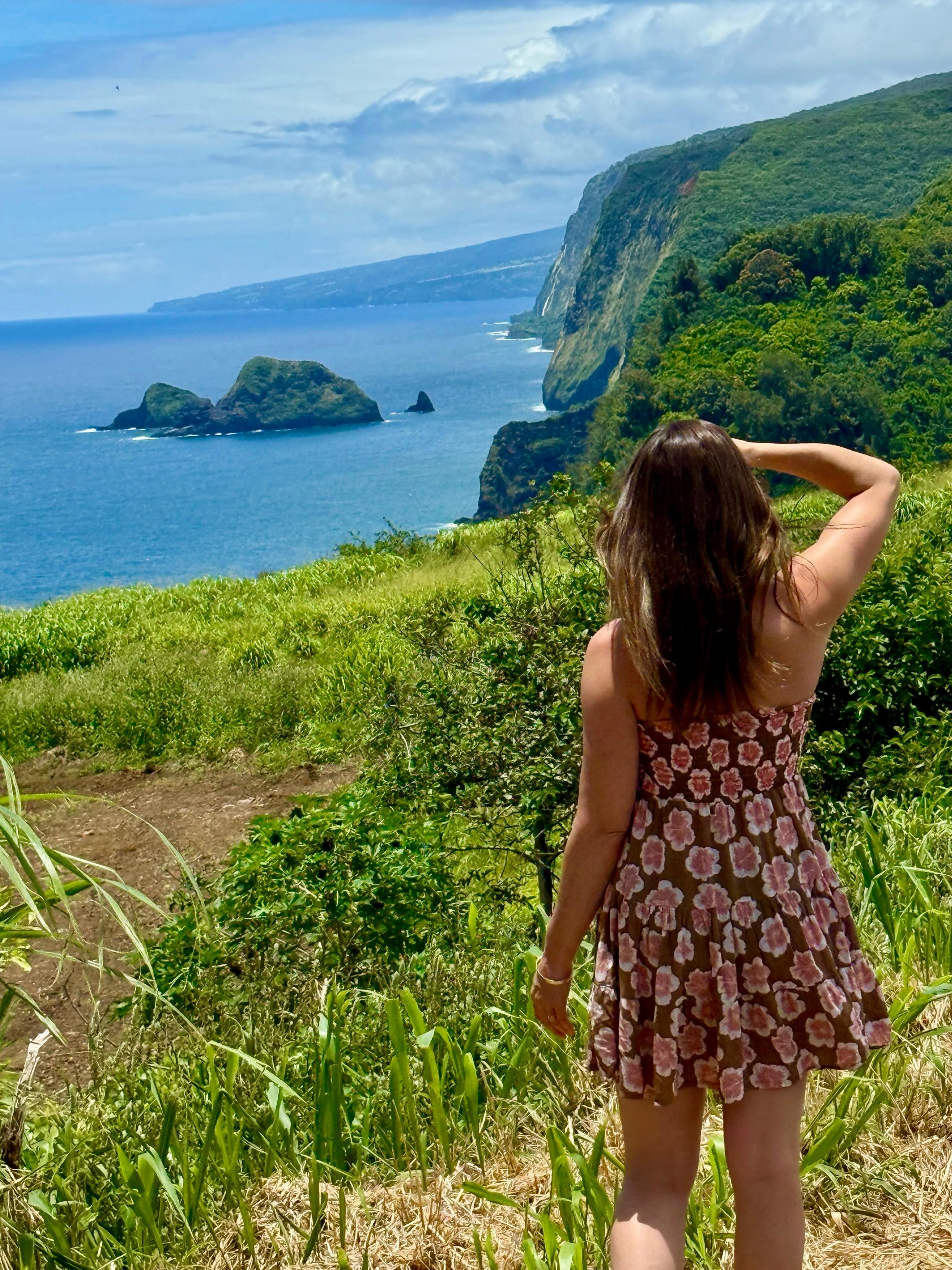 đș There are endless examples of aloha: one is a state of mind.
Example: when a guy in an orange vest stops you and there's a line of cars on top of the already insane traffic, thoughts are:
In LA: "gawwdammit, seriously?? WTH I have to get to $&@% I can't believe this- LA sucks!"
In Hawaii: "Oh hey! (Stops willingly immediately) oh look at these guys working so hard, thank you kind men for your work- take your time!" ::throws Shaka::
đ Ok, so it's a lot easier to carry the aloha state of mind when everywhere you look there are trees, an ocean, maybe a goat or bright pink flowers....but best part is you can be the aloha wherever you go. đ