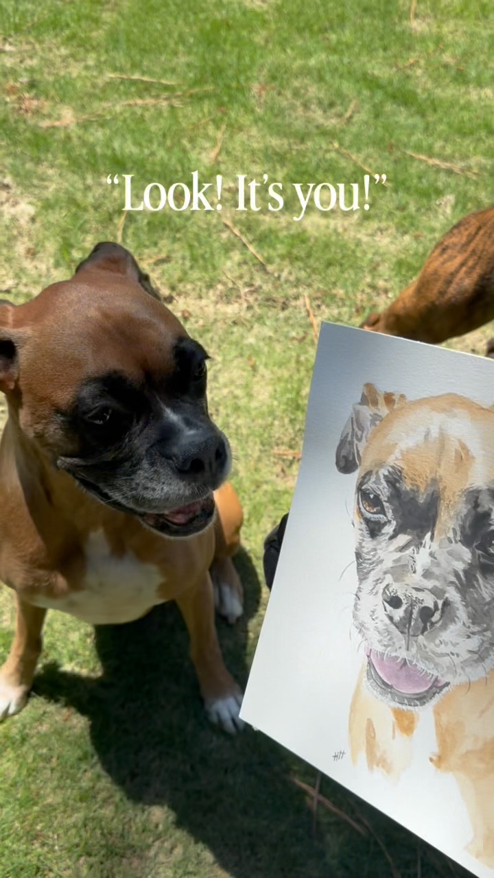 Showing my dog her pet portrait ๐
Iโll be teaching another pet portrait class next Friday 6/26 at @artforlifeinbuford ! And you should totally come because itโs going to be a blast.
Youโll leave this class with a pet portrait that perfectly captures your pets personality as well as with the knowledge to keep painting on your own. Donโt worry though - no drawing or painting skills are necessary to have beforehand. ๐จโ๐จ
Itโs been such a thrill to teach again. Seeing people surprise themselves with what theyโre capable of with their own two hands never gets old.
So if youโre looking for Friday night plans, give painting with me a try! You might surprise yourself (and your pet haha). ๐
Link is in my bio! ๐
#Petportrait #watercolorworkshop #artclasses #watercolor