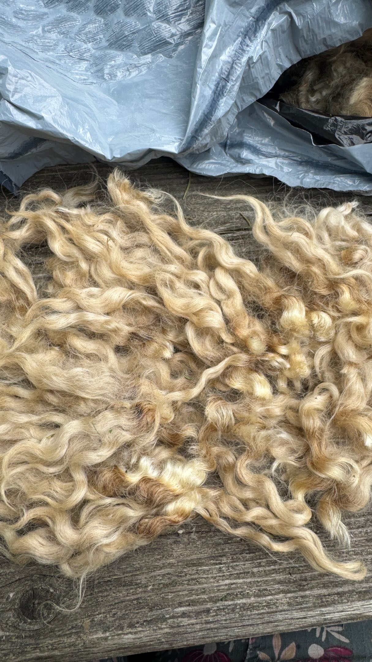 Today was spent doing a tour for participants on the @nyfibertrail and prepping gnome beards for dying for our upcoming “Sunday on the Farm” We are so excited to welcome you for afternoon of needle felting, fresh farm baked goods made with maple sugar, and of course the fiber animals who make it possible.
- Tickets are limited - Purchase yours Today! -
#518events #supportlocal #needlfelting