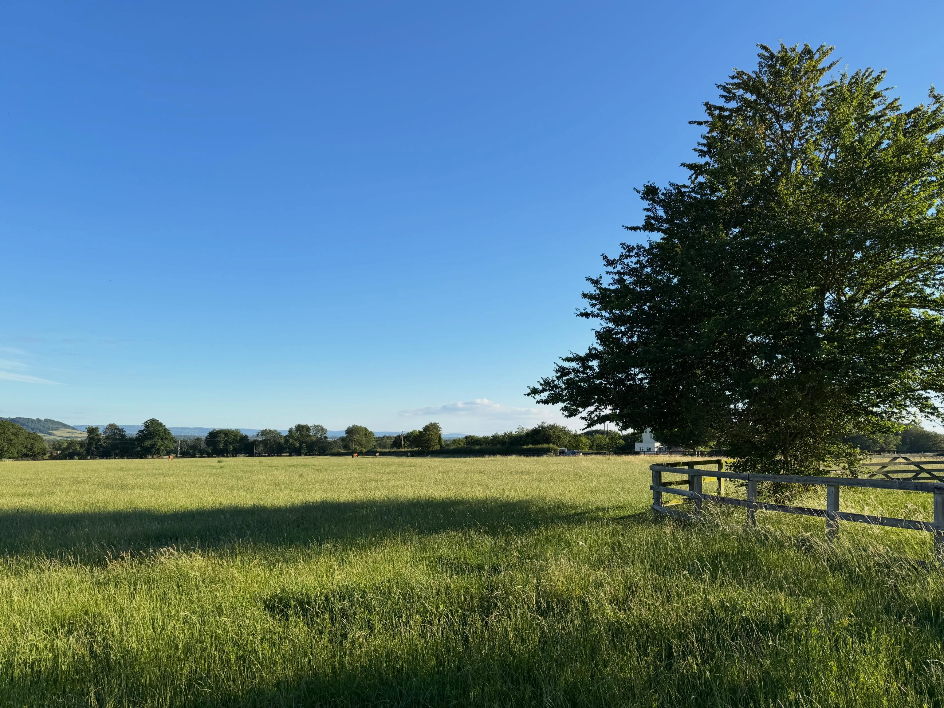 A perfect evening for field yoga. Not so perfect for Lou but Derek saved the day! #fieldyoga #overburyyoga #overburylife