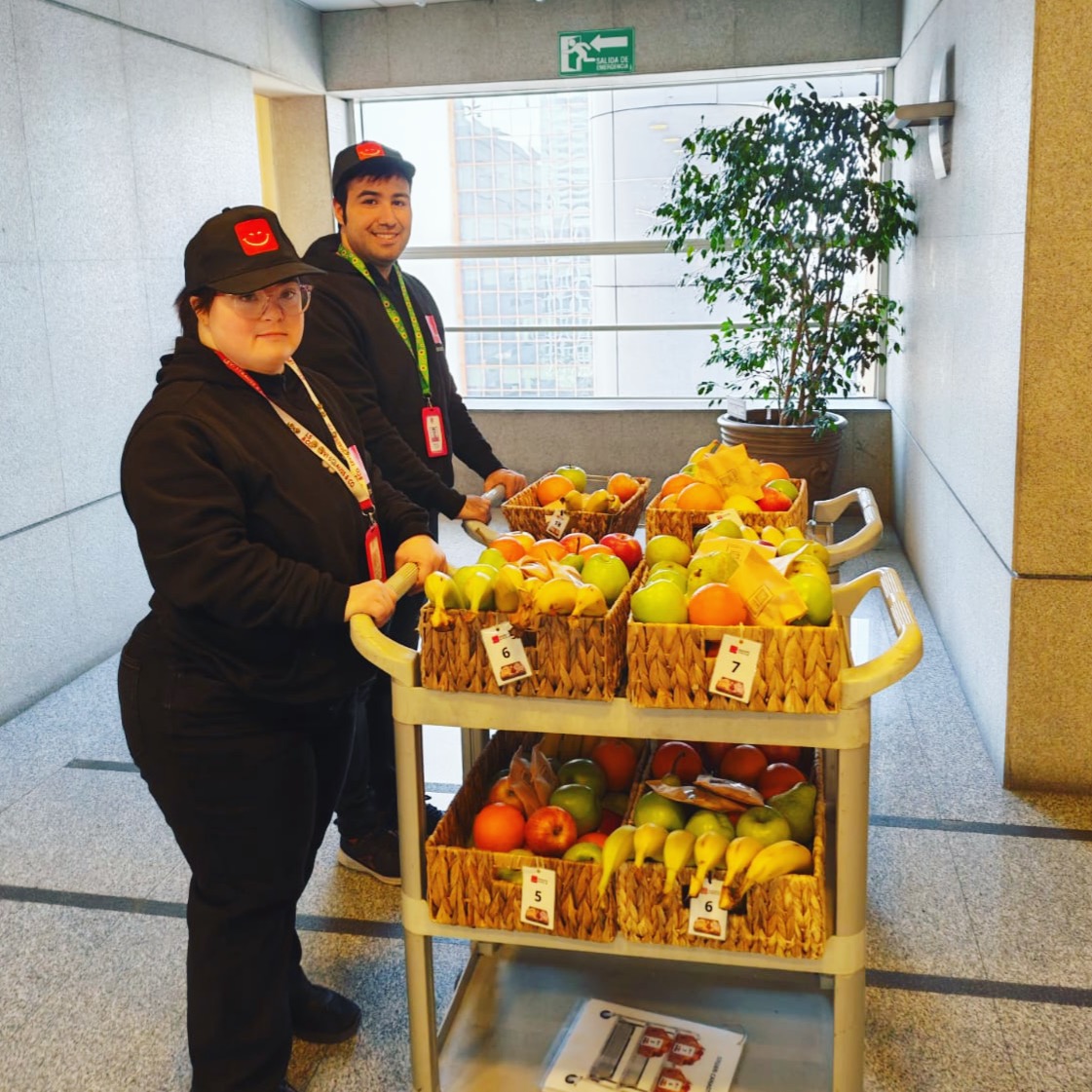 ¿Sabías que 5 minutos pueden cambiar tu jornada? 💙
💡 Nuestros jóvenes lideran las pausas saludables, promoviendo hábitos y espacios laborales más inclusivos.
🍎 Incorporamos carritos con frutas, incentivando una alimentación consciente y saludable durante la jornada laboral.
📩 Si quieres implementar pausas saludables en tu empresa, escríbenos a contacto@edudown.cl
#PausaSaludable #BienestarLaboral #InclusiónLaboral #Edudown #JóvenesConPropósito #EmpresasConSentido