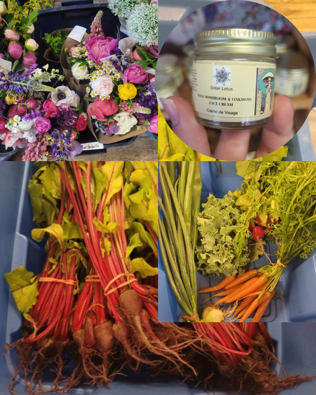 Ordering for this week is now open!🌻🌱☀️🌾🌷
Summer produce is starting to bloom check out the new weekly selection at wfm2go.ca!🥕🥔🥒🫛
Highlighted products this week include:
🌱 Strawberries from Elderkin's Farm Market
🌱 Spiced Plum Jam from Seven Acres Farm
🌱 Cilantro, Dill, Cucumber, and Red Onions all from What on Earth Farm
🌱 Tarragon from Herbal Hill Farm
🌱 Red Romaine Lettuce from Longspell Point Farm
🌱 Scallops from Afishionado Fishmongers Inc.
🌱 And much, much more!
#wolfvillefarmersmarket #wolfville #annapolisvalley #novascotia #farmersmarket #wfm2go #shoplocal #eatlocal #buylocal #supportlocal #freshproduce #community #letsdothis