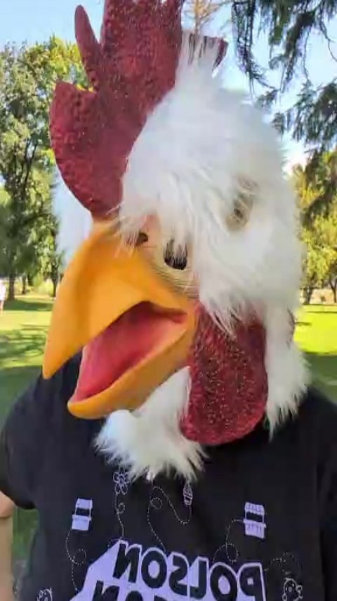 It's a cluckin good friyay!