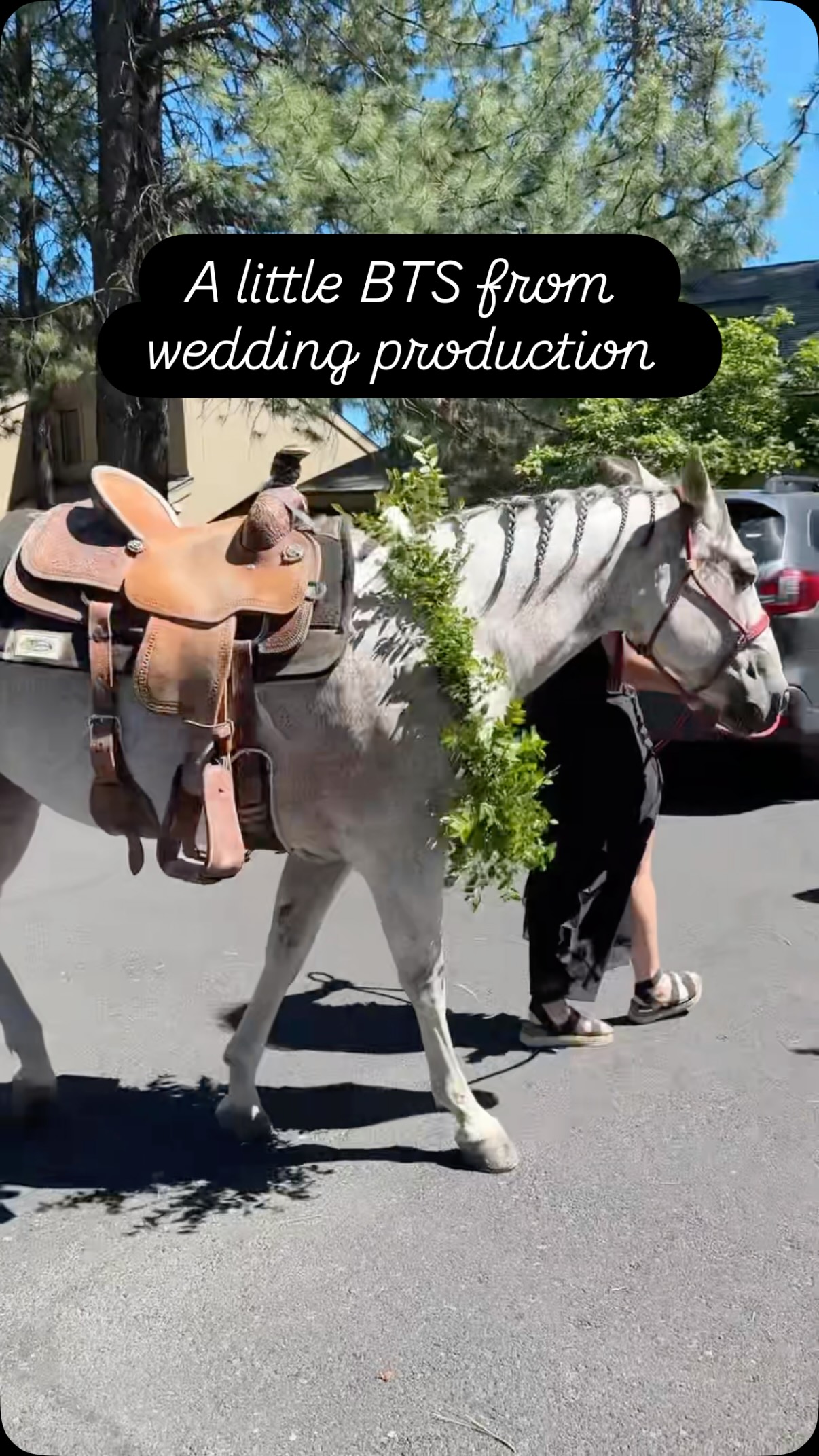 A little OG flavor and some new spice in this 3 day long central Oregon wedding experience✨BTS 🎥. @amandaclaire.co
©flipflopeventco
@lapetitescoop
@obrieneventsinc
@cheerfuleventrentals
@heirloomsandco
@dreamprashant
@summerrobbinsflowers
@bespokencreative
@thegallivans
@nikirhodesphoto
@roaming.social
@kamrynsunitsch
@blackbutteranchweddings @fivepinelodge