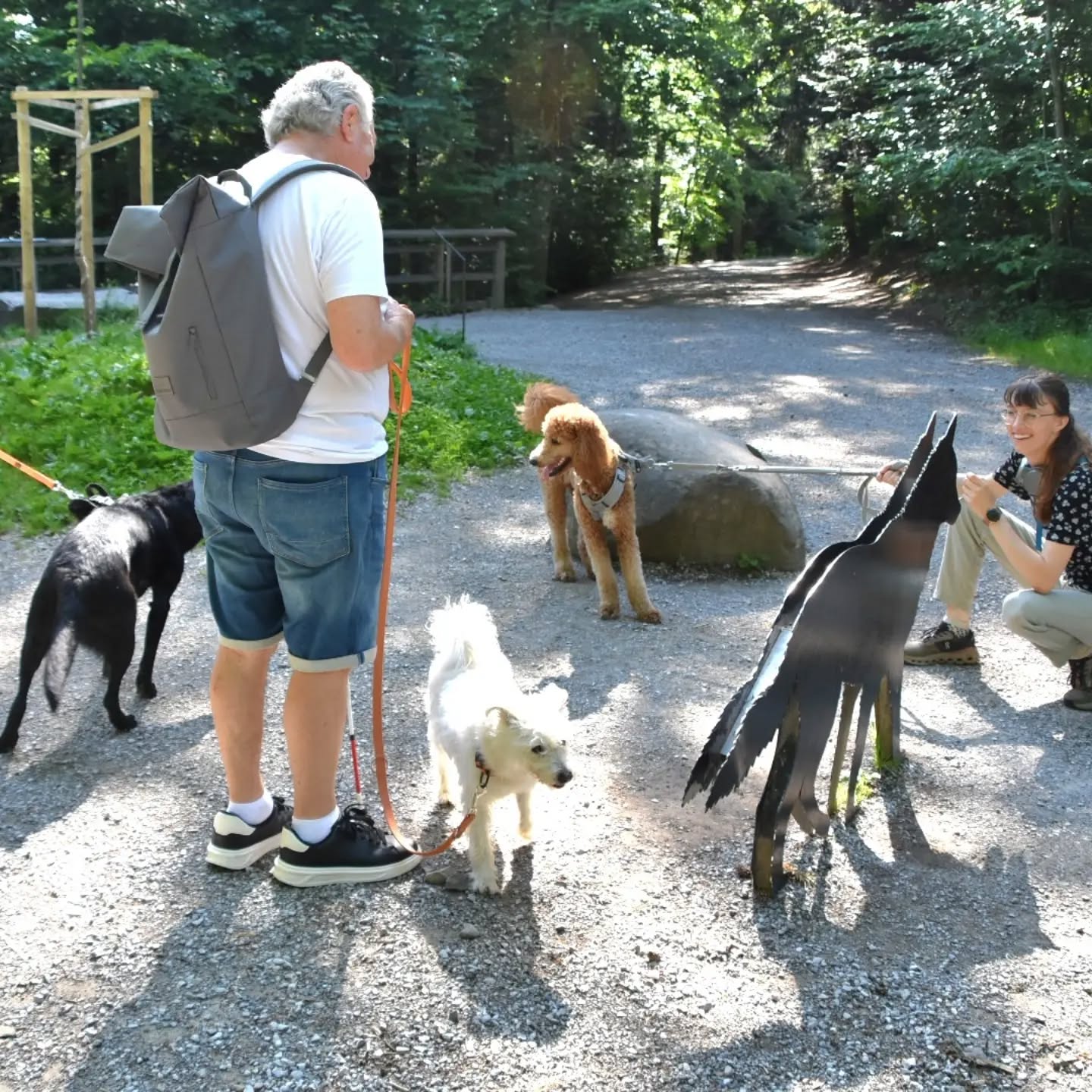 Heute fand unser Vereinsausflug in den Wildpark Langenberg ZH statt. Gemeinsam verbrachten die Mensch-Hund-Teams einen schönen und abwechslungsreichen Vormittag in der Natur. Bei einem gemütlichen Spaziergang konnten die Assistenzhunde neue Eindrücke sammeln und verschiedene Tiere beobachten.
Neben den gemeinsamen Erlebnissen standen auch der Austausch untereinander und das gemütliche Beisammensein im Mittelpunkt. Es war eine schöne Gelegenheit, Zeit miteinander zu verbringen und die besondere Partnerschaft zwischen Mensch und Hund zu erleben.
Wir danken allen Teilnehmenden für den gelungenen Tag und freuen uns bereits auf den nächsten gemeinsamen Ausflug. 🐾😊