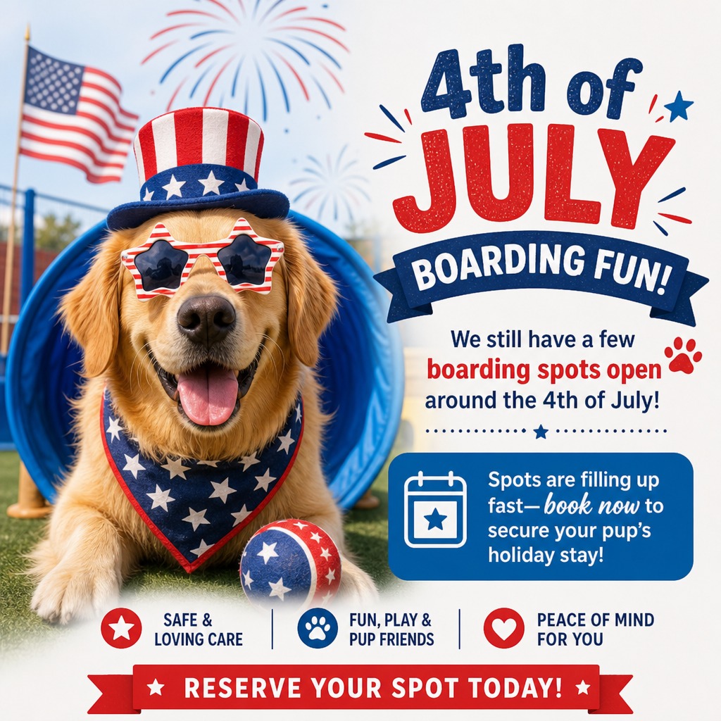 Summer is in full swing and the 4th of July is right around the corner! We still have some boarding availability, but it won’t last long. If your plans take you away, we’d love to spend the holiday with your pup. 💙 Book soon to secure your spot.
406-890-2220