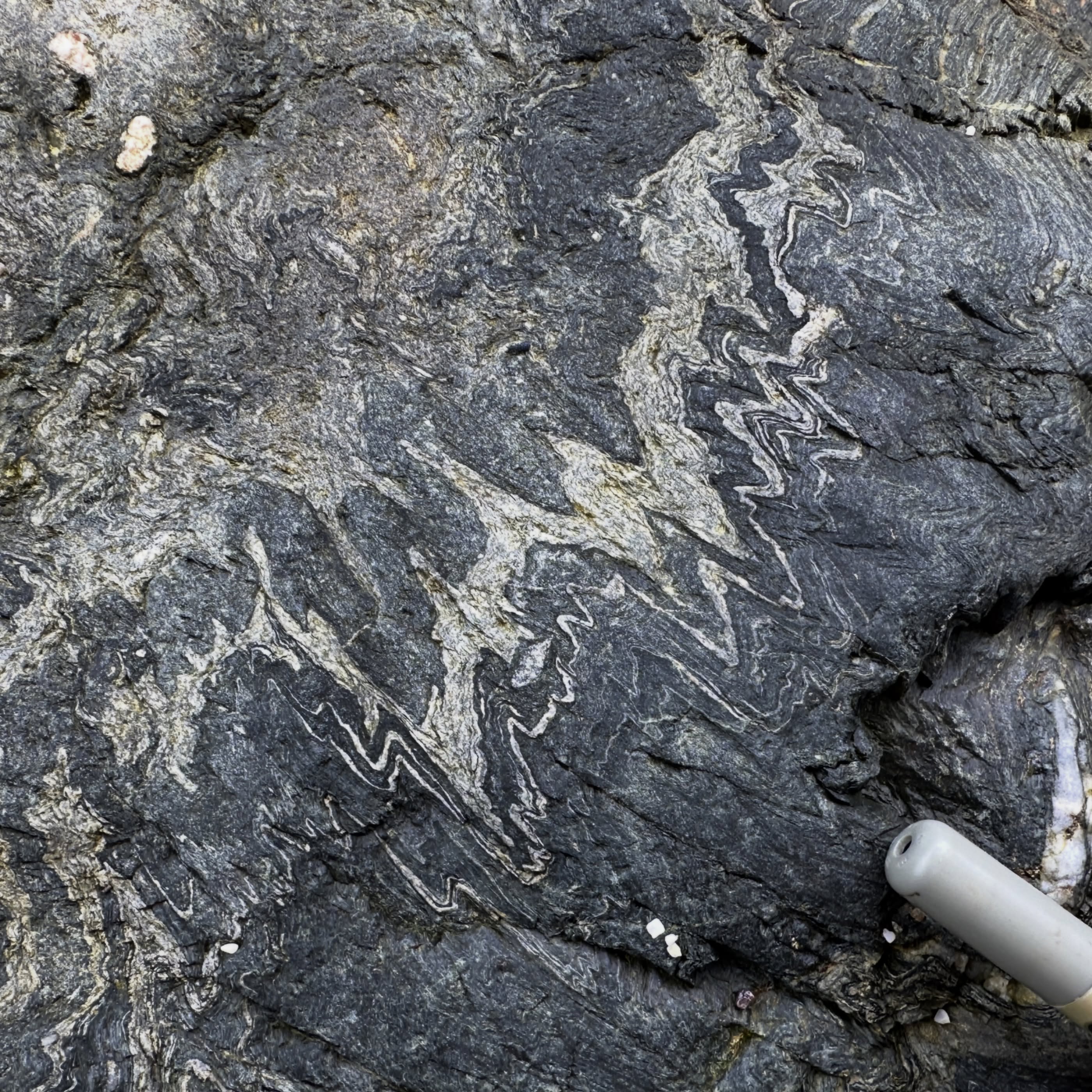 Pretty little folds in the Old Lizard Head Formation down in Polpeor Cove.
There isn’t too much I can actually say about the origins of these folds because, well, I don’t really know!
These are some of Cornwall’s oldest rocks, comprising of amphibolites facies metasedimentary and metabasic igneous rocks.
However, the environment in which these rocks formed, and how and when they were deformed and metamorphosed is uncertain.
Granodiorite sheets that intrude the metasedimentary rocks give a U-Pb zircon age of 500 million years old. This is anomalously old compared to other rocks in Cornwall.
The other problem is the Old Lizard Head Formation is now completely out of context in terms of position, with faulted boundaries against other geological units.
The Old Lizard Head Formation occurs structurally below Devonian mantle peridotites that crop out to the north, and structurally overlies the Man of War Gneiss which crops out in the reef just offshore.
One theory is that these are basement rocks - old, crystalline rocks on top of which younger rocks form. The fact we see them at surface today tells us they must have been thrust upwards by faulting.
When a fragment of the Lizard oceanic crust was obducted; ripped up and dumped on top of the continent during the Variscan Orogeny, it could have included a fragment of basement with it, which is why they are out of position.
Whilst our understanding of the environment and timing in which these rocks formed and were subsequently deformed is still open for debate, the Old Lizard Head Formation is definitely an important piece of the jigsaw to help us understand our tectonic history!
#structuralgeology #cornwall #cornishgeology #geology #geologist