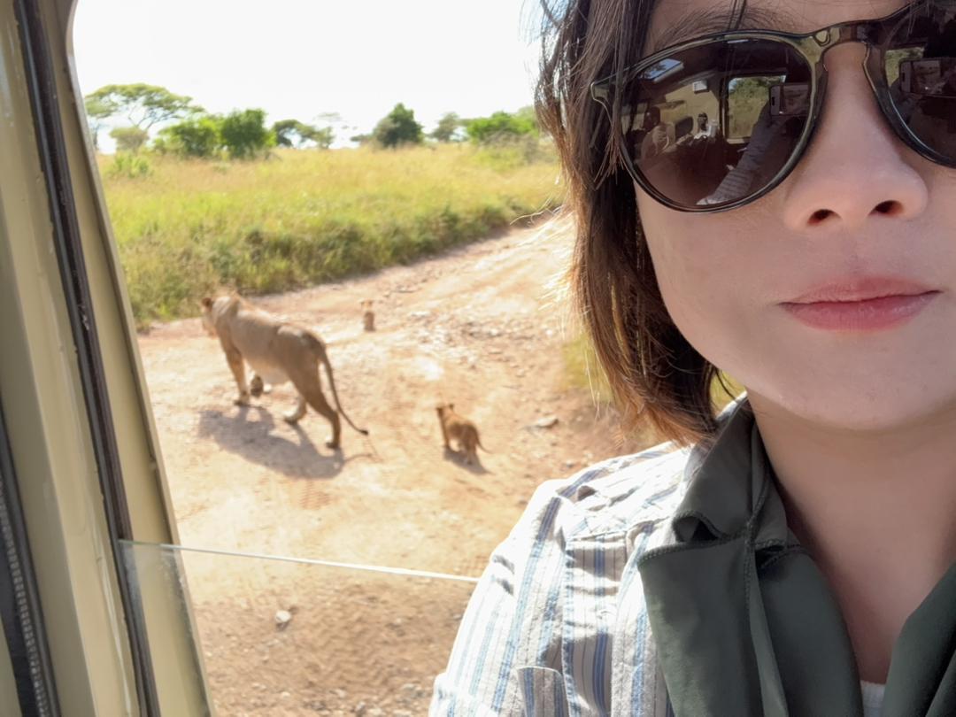 🦁✨ When wildlife is closer than you ever imagined...
From watching lion cubs follow their mother across the Serengeti to relaxing just meters away from a pride of lions, every game drive brings a new adventure and an unforgettable story.
This is more than a safari—it's a front-row seat to nature's greatest show.
Join Extra Passion Safaris and experience Tanzania's incredible wildlife up close, safely guided by our expert safari team.
📍 Serengeti National Park, Tanzania
📧 info@extrapassionsafariss.com
#ExtraPassionSafaris #SerengetiSafari #LionEncounter #TanzaniaSafari #WildlifeAdventure #SafariMemories #ExploreTanzania #AfricanSafari