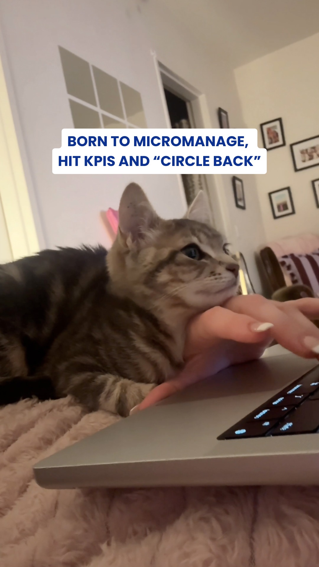 Always watching over your shoulder and clocking your every move? Cats and bosses have a lot in common…
How does your furbaby 'help' you work from home?
#WFH #CatsOfInstagram #WorkFromHomeLife #Inaba