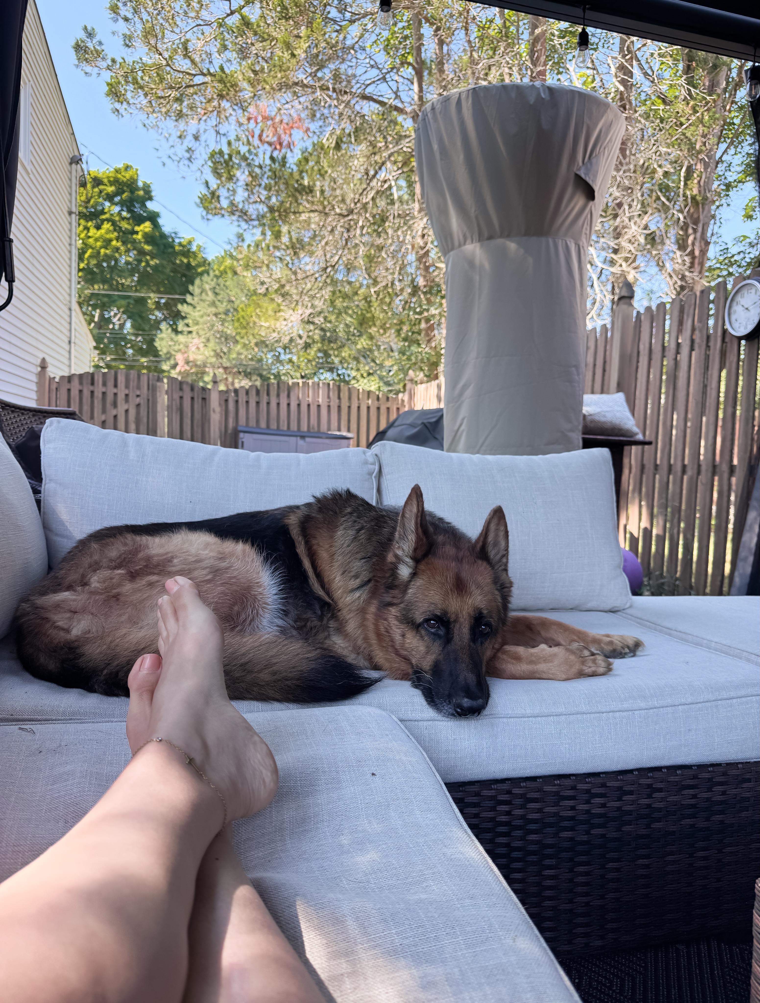 Enjoy your Sunday everyone and a very Happy Father’s Day to all the Dad’s out there. 😊 #fathersday #gsd #gsdlife #dogs #dogsofinstagram