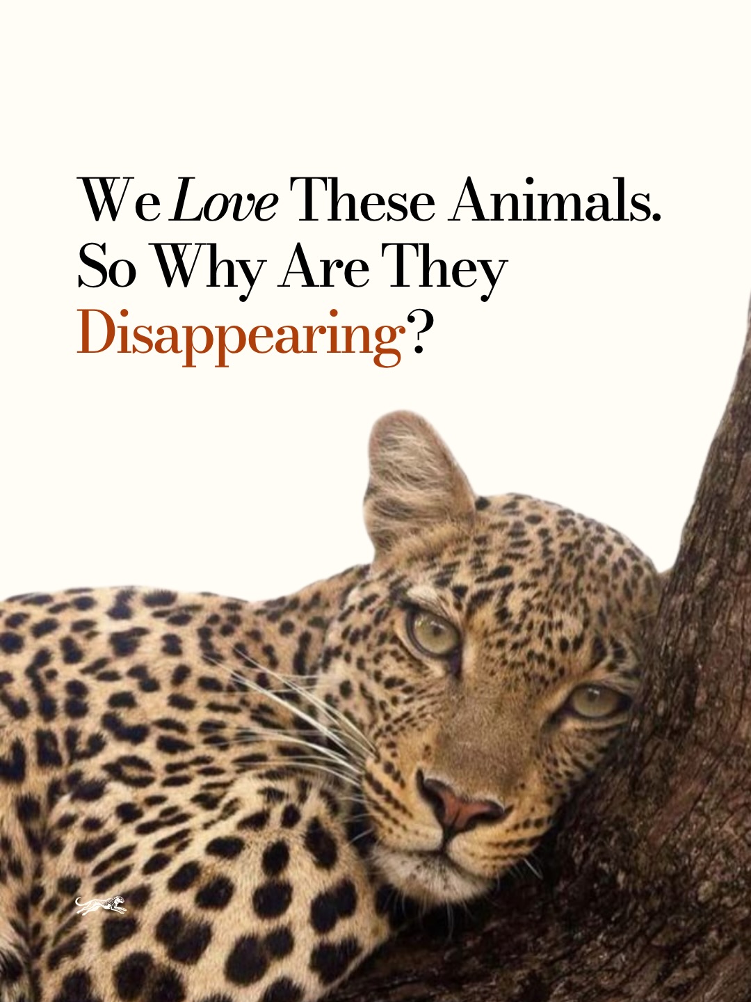 Long before cameras, zoos, documentaries, or social media, people were telling stories about wildlife.
We saw strength in lions, wisdom in elephants, resilience in rhinos, and freedom in great migrations.
Thousands of years later, those same animals remain woven into our cultures, our art, and our imagination.
Yet many now face an uncertain future.
Not because we failed to admire them.
But because admiration alone was never enough.
Keep wildlife wild.