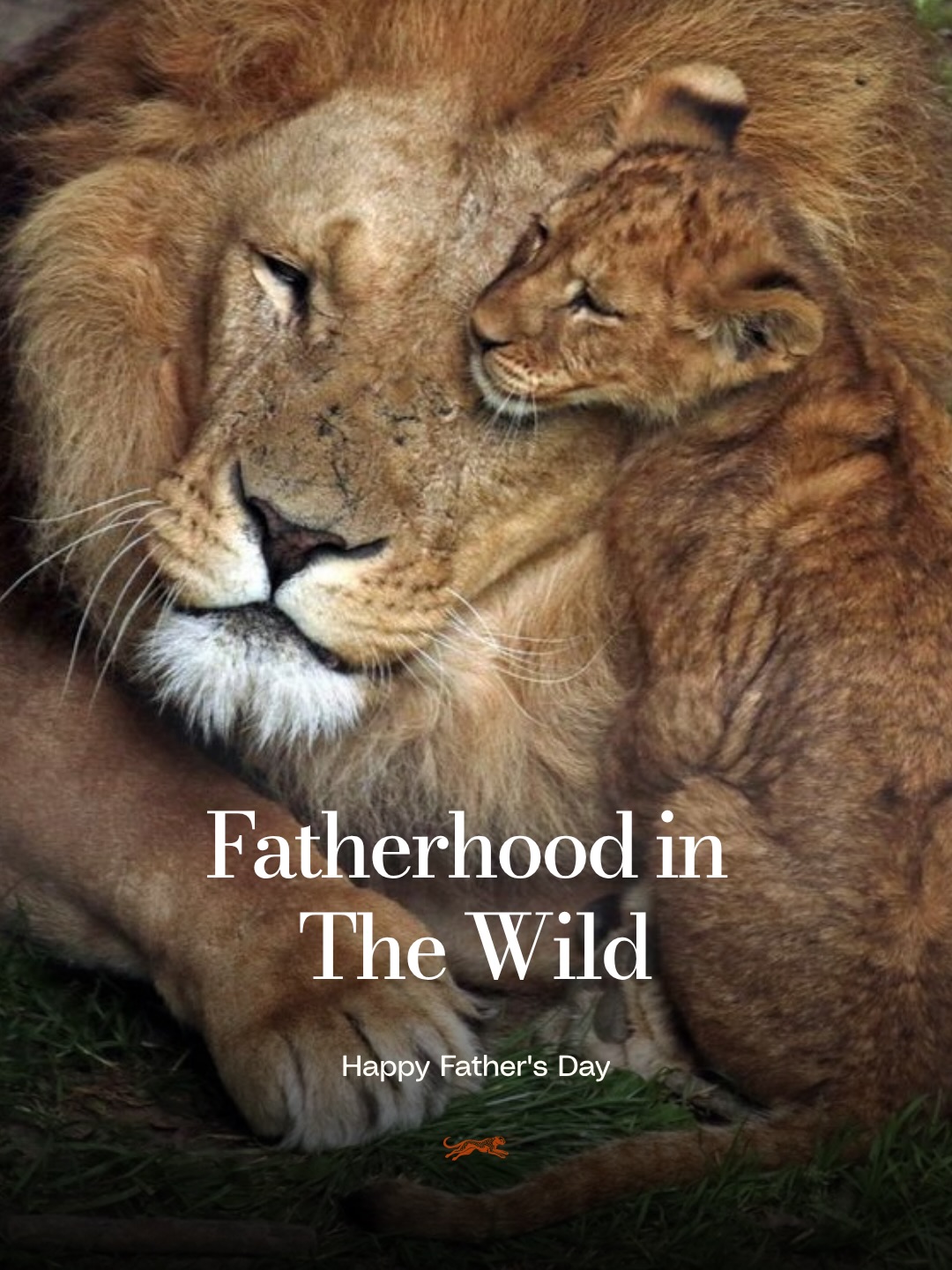 Fatherhood in the wild takes many forms.
From silverback gorillas and wolves to emperor penguins and even seahorses, fathers play important roles in protecting, providing for, and raising the next generation.
Today, we celebrate the remarkable diversity of fatherhood found throughout the natural world.
🧡
On a personal note, some of my earliest experiences with animals came from my father, who gave me a childhood surrounded by creatures great and small. That connection eventually helped shape Kandola Wildlife and my lifelong love for the natural world.
— Ace Kandola (@acelakandola)
Founder, Kandola Wildlife
For the wild.