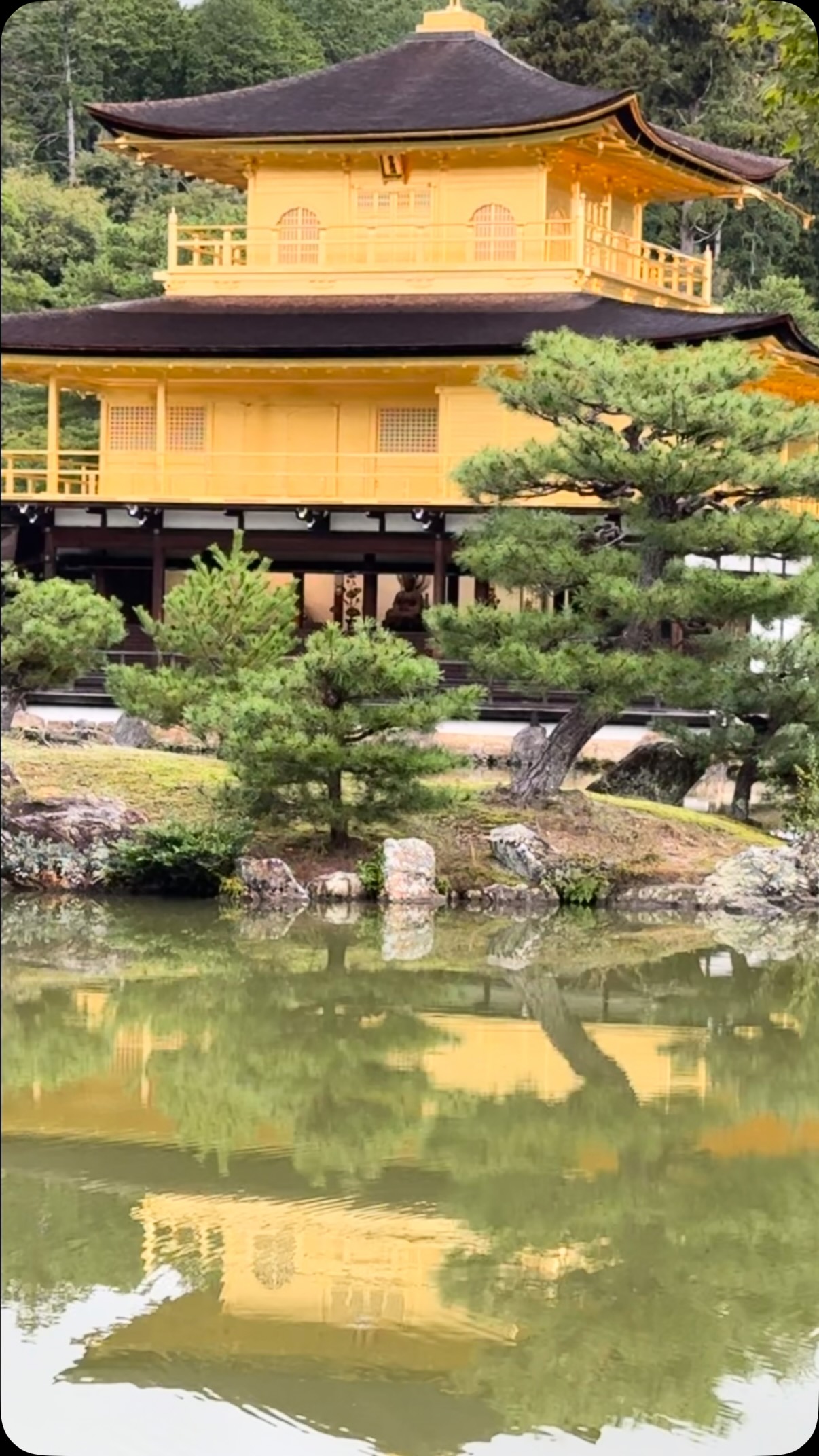Weekly Travel Suggestion:
Japan with Princess Cruises
Oct. 1st-19th 2026
18 days, 14 ports
Japan is one of the most current popular travel destinations, for so many reasons: the culture, the beauty, the history, the food🍣
Seeing Japan by cruise ship makes it even better. Multiple ports and only unpacking once🧳
We can help you plan your next dream vacation at: kiliantravelandlifesyle.com
@princesscruises
#luxurytraveladvisor #cruisetravel #travelbloggerlife #womenthattravel #womenover50
