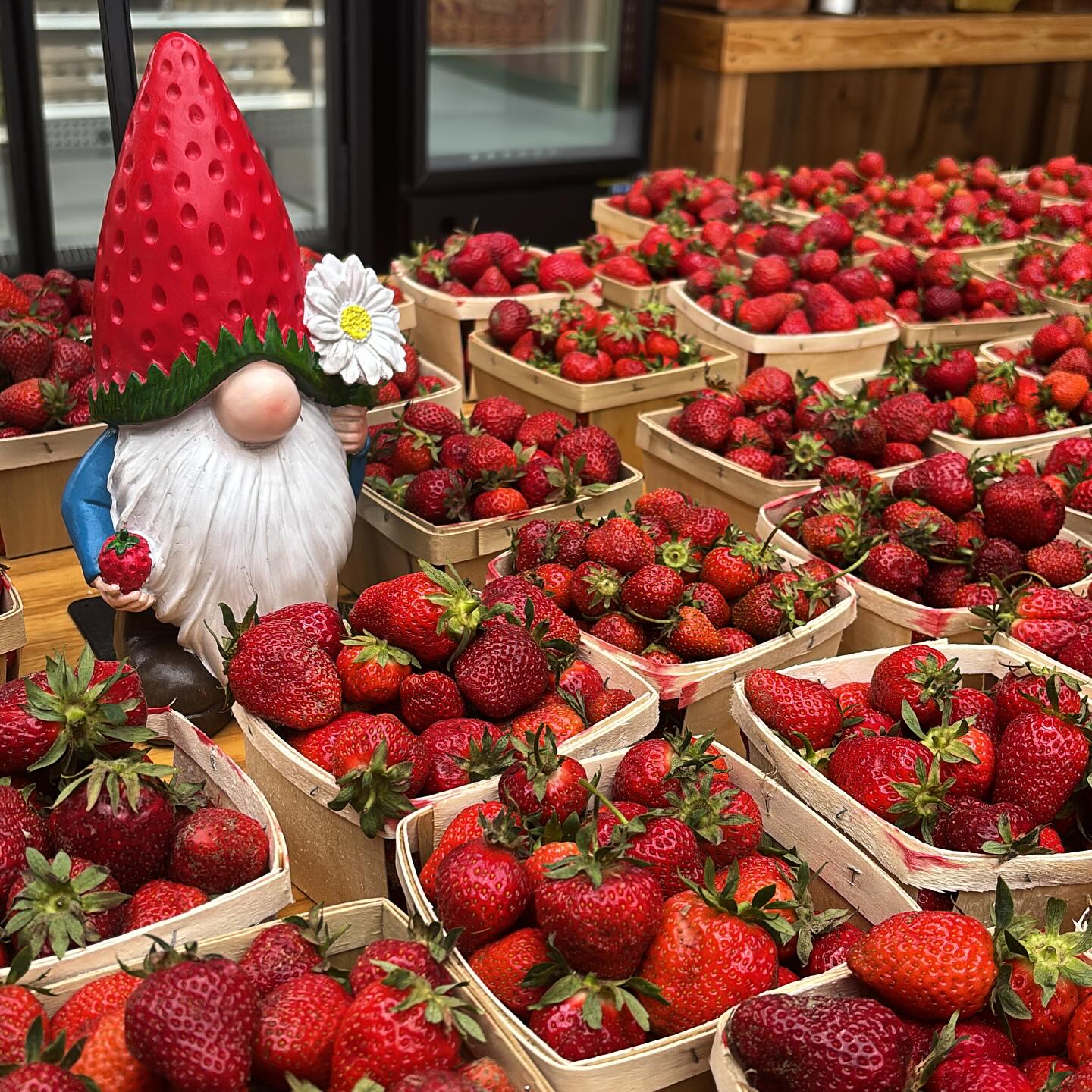 Fresh NH grown strawberries! đ
The time is NOW!
:
#strawberries #eatwiththeseasons #longviewfarmstand