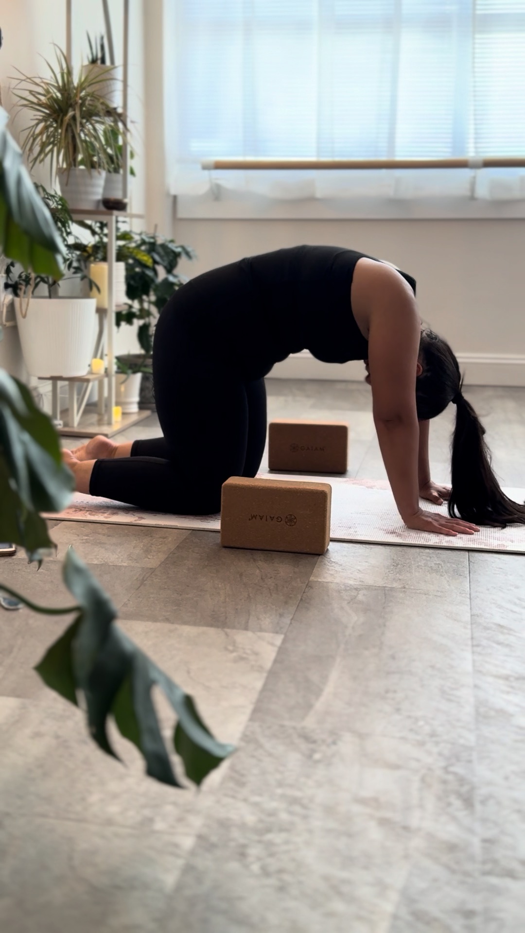Movement doesnāt have to be complicated. Finding motivation
doesnāt have to be either.
Sometimes the hardest part is simply showing up. Weāll meet you there.
⨠This Week at Atlas:
Monday
4:30pm Balance Barre
6:00pm Barre
7:30pm Slow Stretch Yin Yoga
Tuesday
6:00pm Yoga Flow
7:30pm Balance Barre
Wednesday
6:00pm Gentle Yoga Flow
7:30pm Barre
Thursday
6:00pm āØThis week only.. NEW Alignment Lab: Foundations & Standing Poses
7:30pm Yoga Flow & Restore
Friday
6:00pm Funky Flow & Restore "Happy Hour" ā just $10! š
Saturday
šæ Yoga in the Gardens at Andalusia Historic House, Gardens & Arboretum
Come as you are. Roll out your mat. Take a breath. Weāll take care of the rest. āļø
www.atlasyogaandmovement.com
