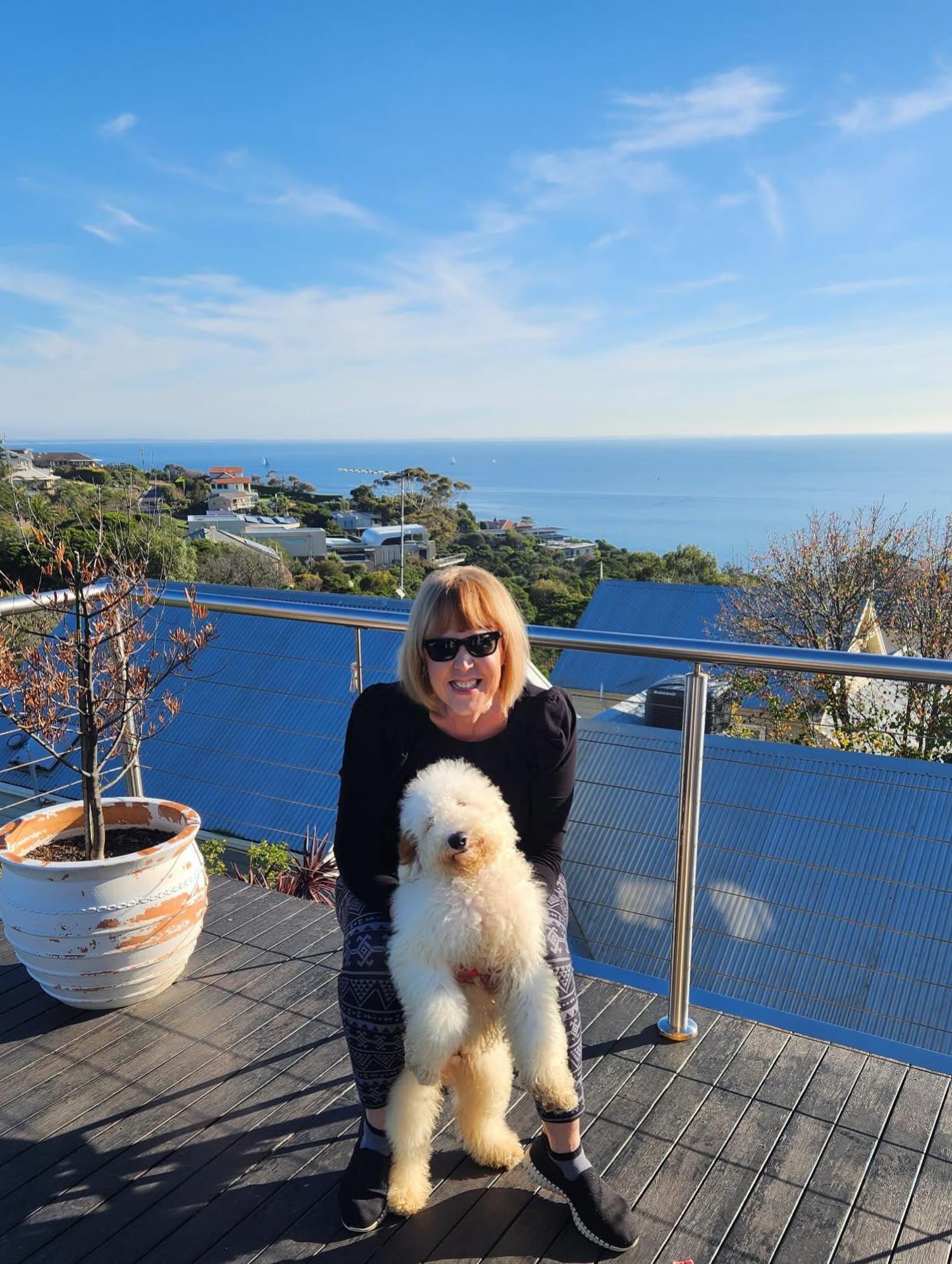 Martha with her Spoodle boy is a picture of love and trust 🐾💛
Gentle, playful, and full of heart, he’s more than a puppy, he’s a reminder that joy is found in the little moments we share.
Together, they show us that the bond between human and dog is one of life’s greatest treasures.
#SpoodleLove #PuppiesDownunder #MarthaAndHerSpoodle #PuppyJoy #InspirationInFur