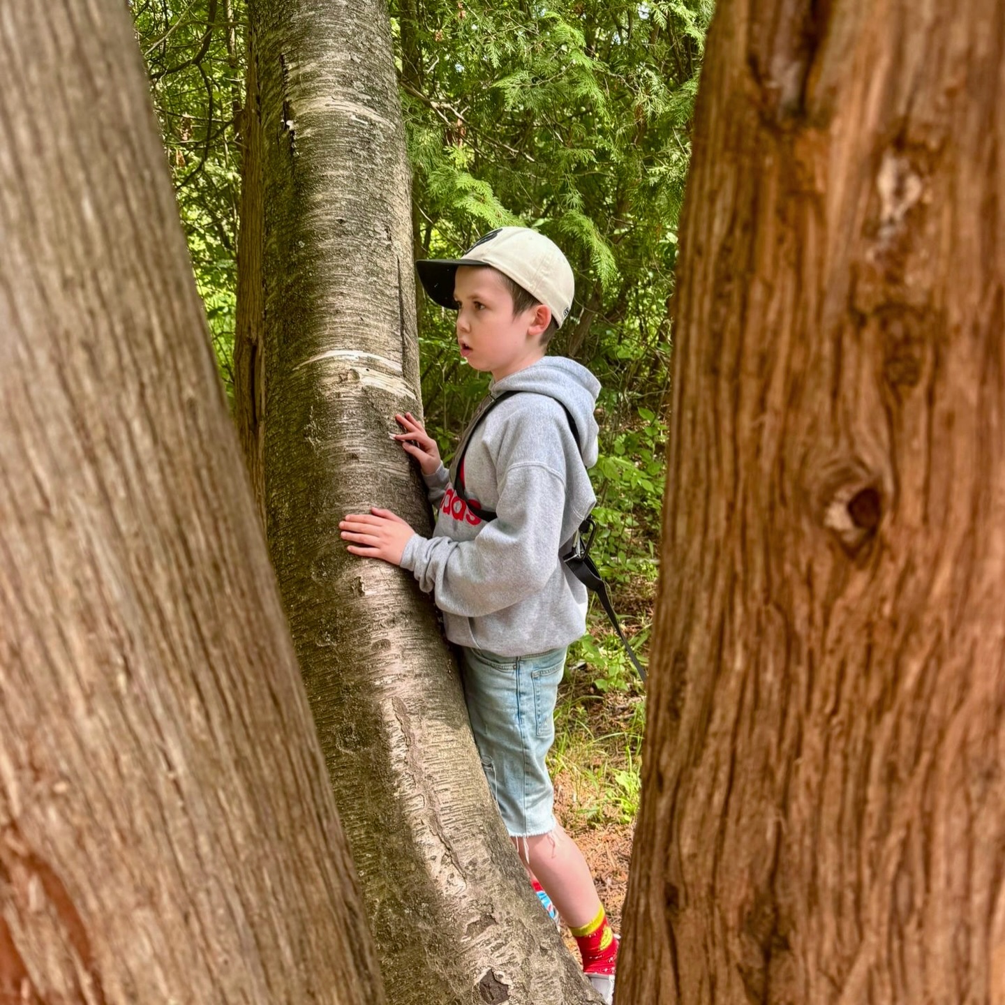 🌿 A day at Bear Creek Eco Park filled with adventure, exploration, and discovery!
Our kiddos immersed themselves in nature! From observing the environment around them to connecting with peers, every moment is an opportunity to grow, learn, and have fun outdoors🐢
#LearningThroughNature
#CommunityOutings
#OutdoorLearning