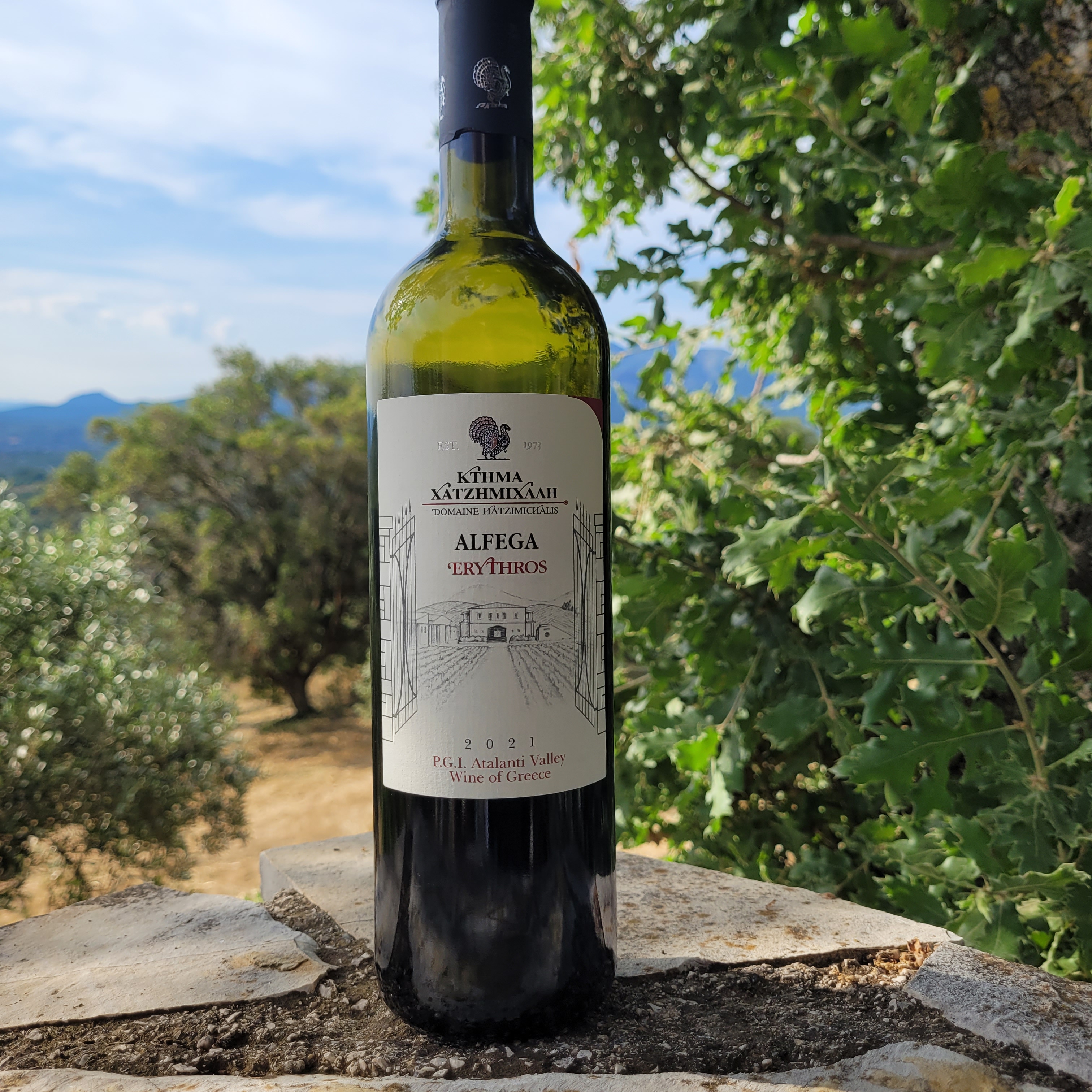 Domaine Hatzimichalis Alfega Erythros 2021 – PGI Atalanti Valley | 89/100 🍷
I have a soft spot for Hatzimichalis (@domainehatzimichalis). Few pushed international varieties in Greece earlier or harder: Dimitris Hatzimichalis bought his first nine hectares at Atalanti in 1973 and stunned the scene in the early ’80s with a Cabernet Sauvignon thought impossible here. The Alfega Erythros is the estate red, a classic Bordeaux blend (Cabernet Sauvignon, Cabernet Franc, Merlot – 40/40/20), raised for at least a year in French barriques.
2021 was a year of extremes. In Fthiotida a cold, wet winter and cool spring held the vines back, then came three heatwaves – 46.3 °C in early August – and the worst wildfires in over a decade. Mid-harvest, Leonidas Hatzimichalis (@leochatz ) spoke of picking ten days early to beat the heat, hoping to have escaped the smoke. A normal September saved health and balance; the reds got off lightly.
In the glass, little of that drama at first. The nose is tame, dark-berried but restrained – some smoke after all, a little ash, nowhere near Biblia Chora’s level. I rather like it. Good tannin, built for time; the label promises fifteen years, ten it shrugs off with ease, I am sure – though it does not need further aging. Salty on the finish, tender in between, balanced ... yet admittedly not hugely animating.
As with some previous vintages, I waver between 89 and 90 and land, once again, on 89. Very respectable for a bottle at around ten euros in Germany – well below, e.g., Biblia Chora’s or Gerovassiliou’s estate reds – its synthetic cork flagging the more modest ambitions. Still: The name fuses alpha and omega, all in their own hands, start to finish. Which is exactly why I’d sometimes wish for just a liiiiittle more punch, aiming a liiiiittle higher.
A much more detailed review lives in our site’s tasting-note database of 500+ Greek wines.
#GreekWine #CabernetFranc #BordeauxBlend #GreekWines #greekredwine