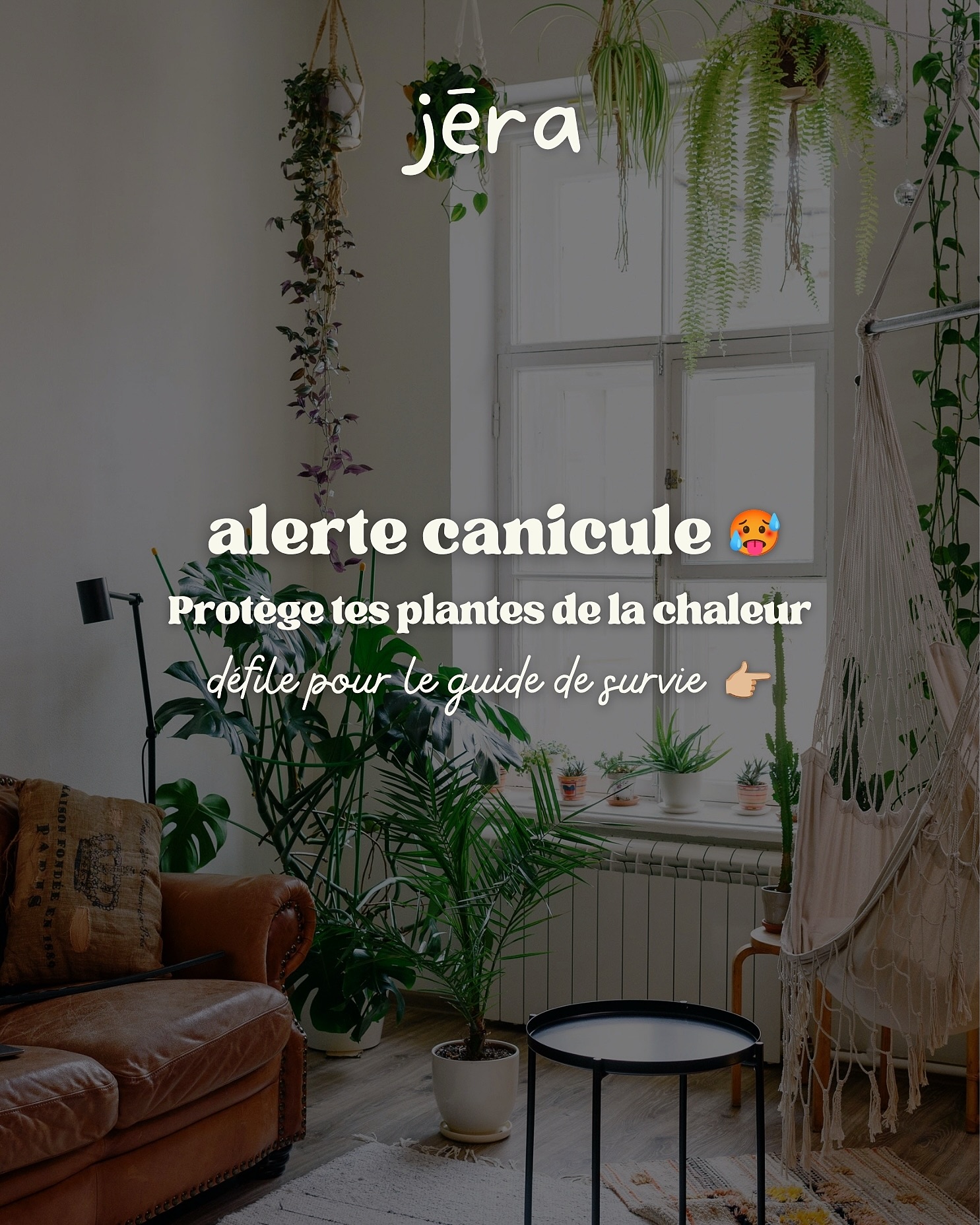 Tu transpires ? Tes plantes aussi 🥵
Les vagues de chaleur s’installent et tes petites protégées commencent sérieusement à faire la tête. Feuilles qui s’enroulent, terreau sec en deux jours, coup de chaud, tes plantes traversent une zone de turbulences 😪
Pas de panique, on t’a préparé un guide de survie ultime pour les garder vigoureuses tout l’été 😎
Voici 6 réflexes indispensables à adopter dès maintenant :
👉🏼 Le bon emplacement ☀️ : privilégie la lumière indirecte. Éloigne tes plantes des fenêtres exposées plein sud pour éviter les brûlures causées par les rayons du soleil.
👉🏼 Le bon timing pour l’arrosage 💧 : avec la chaleur, l’eau s’évapore plus vite. Arrose tôt le matin ou tard le soir pour que le terreau reste frais et que tes plantes absorbent l’eau.
👉🏼 L’humidité est la clé 💦 : regroupe tes plantes entre elles pour créer un microclimat. Sors l’humidificateur ou installe-les sur des soucoupes remplies de billes d’argile humides.
👉🏼 Mollo sur l’engrais 🌱 : quand les températures sont élevées, les racines sont ultra-sensibles. Réduis la fertilisation pour éviter de brûler le système racinaire.
👉🏼 Attention aux squatteurs 🦟 : les insectes ravageurs (coucou les thrips) adorent les atmosphères chaudes & sèches. Inspecte régulièrement les feuilles et nettoie-les pour prévenir les attaques.
Tu veux encore plus de conseils ? 😌 Notre article « Canicule & plantes d’intérieur : Le guide de survie ultime pour l’été » est disponible sur notre blog (lien en bio) ✨
Un doute sur l’état d’une de tes plantes ?
💬 Écris-nous en DM ou passe directement nous voir avec des photos en boutique !
Cet été, on prend soin de tes plantes ensemble 💚
📌 Enregistre ce post pour le retrouver facilement !
✉️ Partage-le à un ami plantlover pour l’aider à protéger ses plantes de la chaleur !
📍 Jēra, 51 avenue Jean Jaurès, Domont
👉🏼 www.jeraplantshop.com