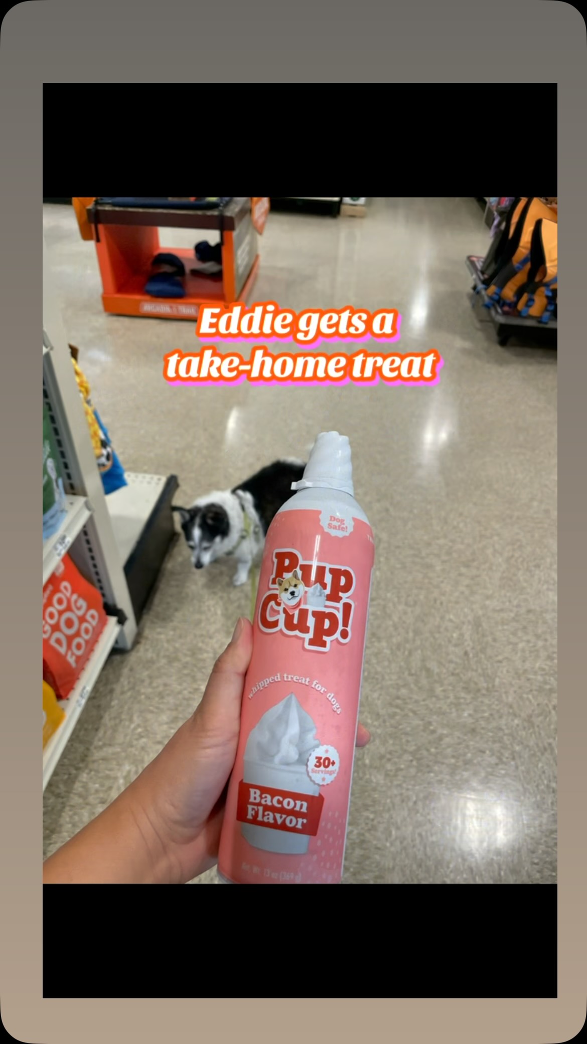 It’s too hot for Eddie to walk outside so I took him to PetSmart to get an outing. We needed dental treats anyways. He like to sniff all the chews. I picked up some pup cup cream for him to have a cool treat at home. It has to thaw out first. Where do you take your dog when it’s hot outside?
#texasdogs #dogmom #petsmart #weekend #newbraunfels