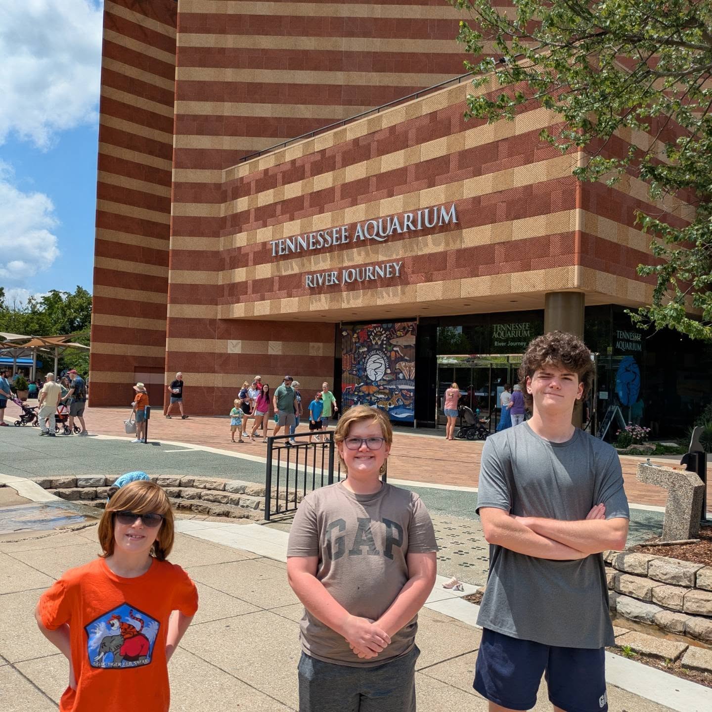 Tennessee Aquarium!!