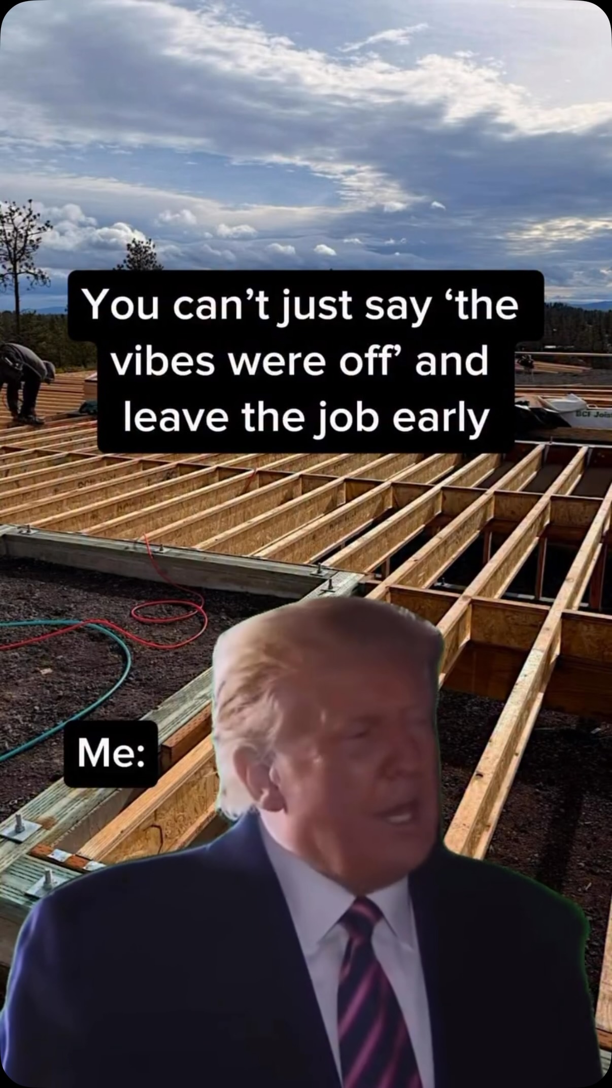 Just here for the vibes
#addworkapp #trumpmeme #constructionhumor