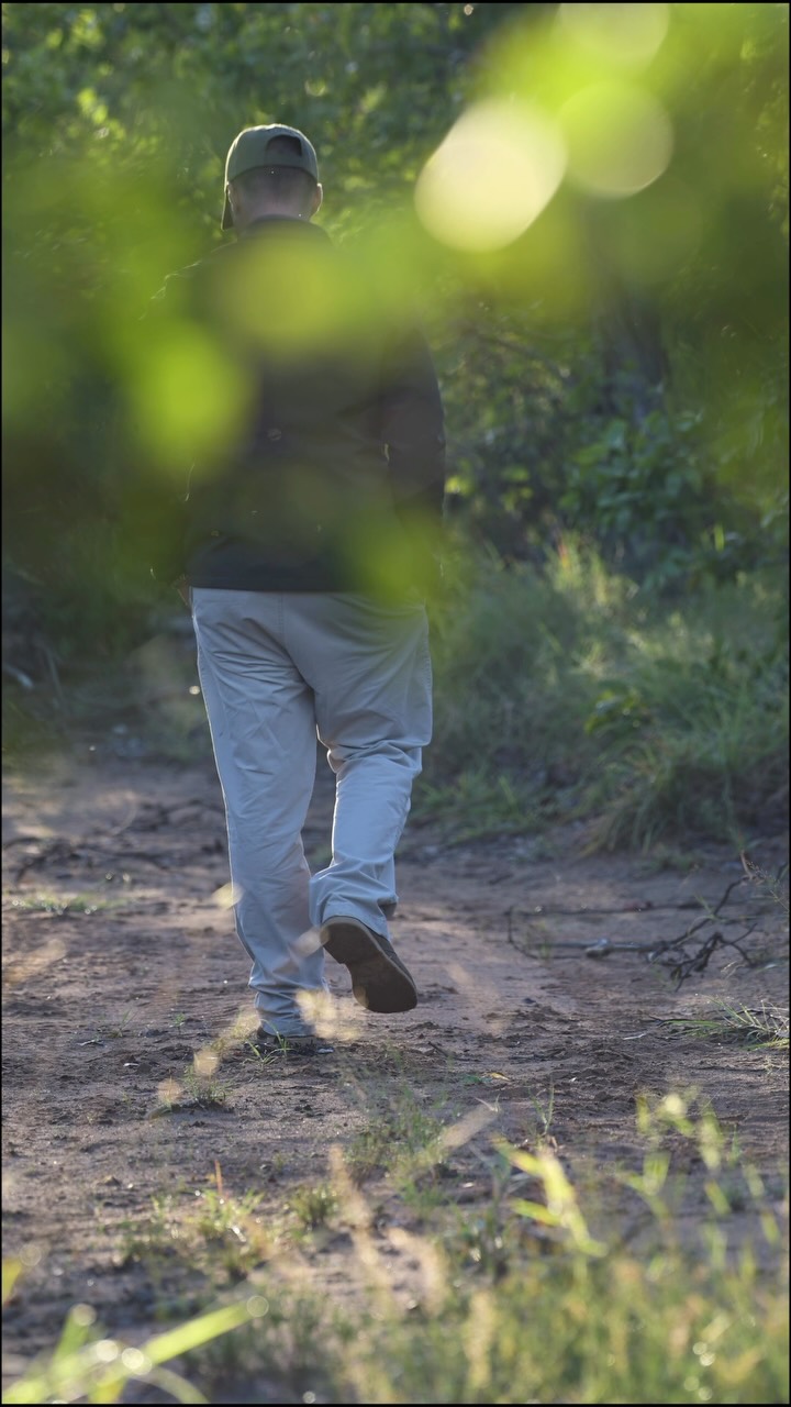 That feeling of being totally immersed in the wild is something that only experiencing it can explain 💚
Quiet moments of tracking I n the Klaserie at Tulela Safari Lodge🐾