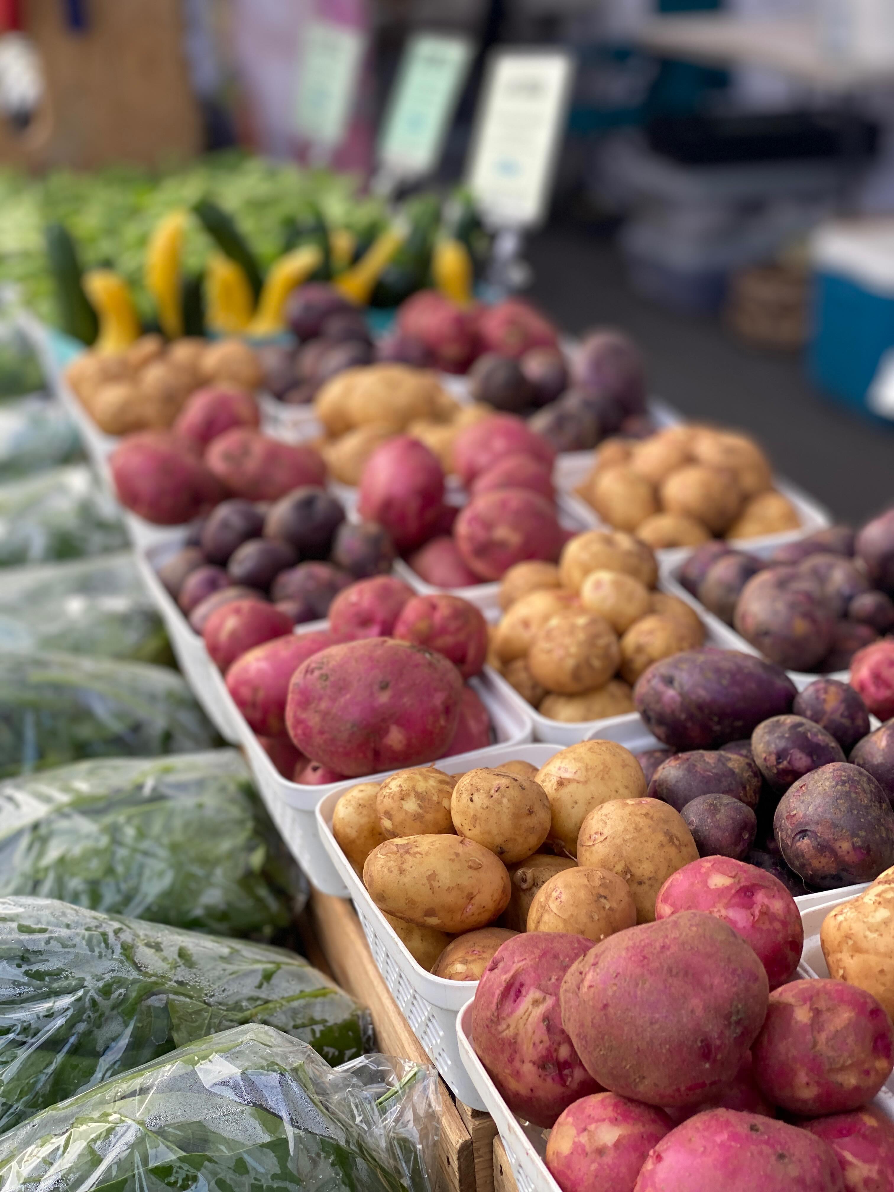 Our stand is brimming with spring vegetables! Find out for yourself today at the @greshamfarmersmarket from 8:30-2. #sliceofheavenfarm