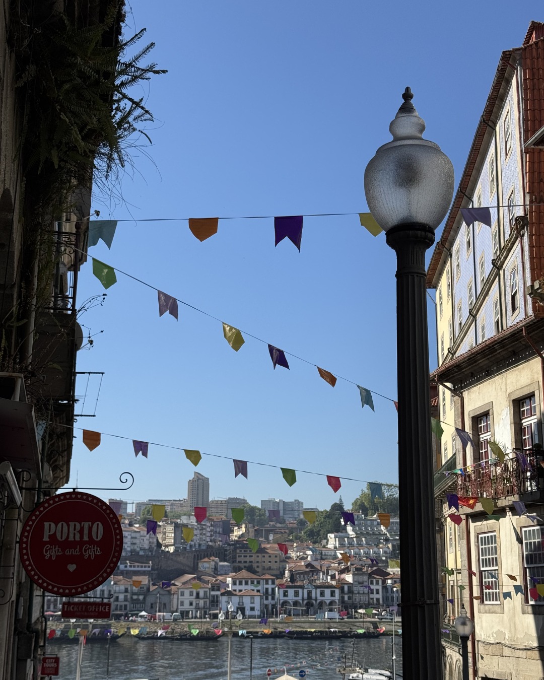 Feliz São João!
Here's to festas that go all night, music, and memories with family and friends.
🎟️ We'll be back while on tour! Visit PortugueseKids.com or the link in bio for dates and tickets.