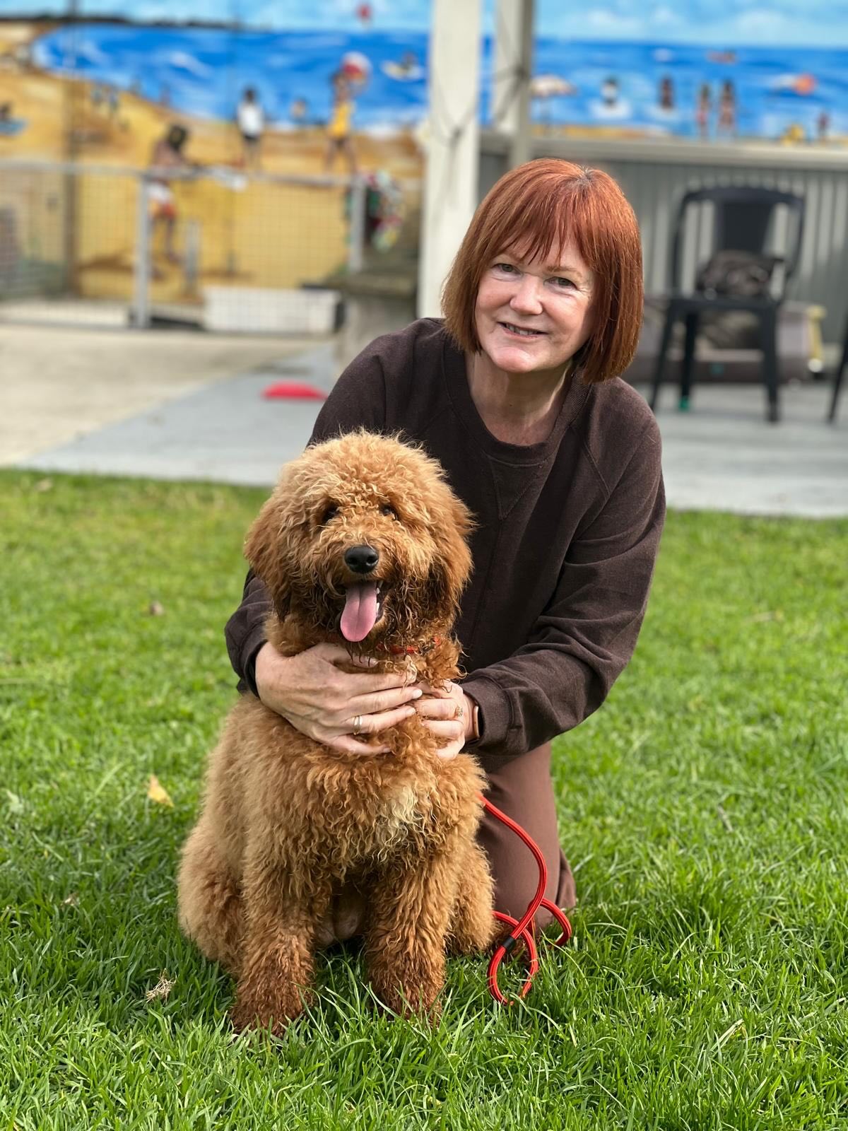 Susan with her Mini Groodle girl is pure sunshine wrapped in fur 🐾💛
Her playful paws bring laughter, her gentle cuddles bring comfort, and together they create memories that sparkle brighter than any daydream.
This bond is more than love, it’s joy, mischief, and heart all rolled into one fluffy bundle!
#MiniGroodleMagic #PuppiesDownunder #SusanAndHerGroodle #PuppyJoy #LoveInFur