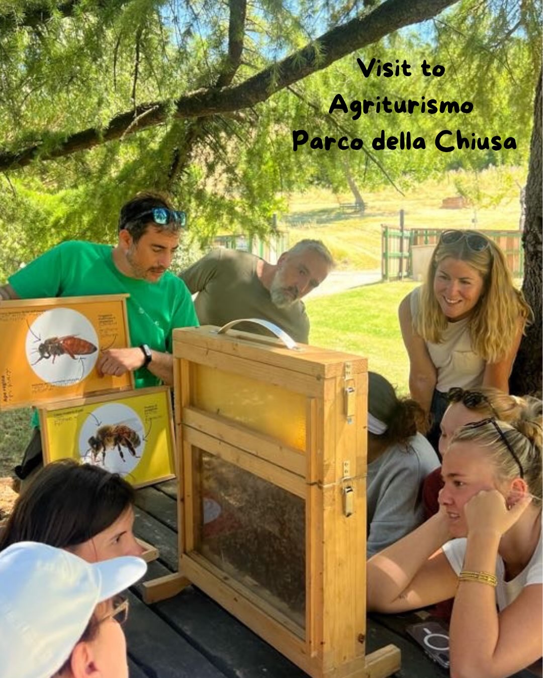 Time for another highlight from our faculty-led programs! 🇮🇹✨✏️
At the end of our One Health Program, we visited COPAPS Social Cooperative at Agriturismo Parco della Chiusa, an organization whose mission extends far beyond agriculture. Through sustainable farming, environmental education, and social inclusion, COPAPS creates meaningful employment and education opportunities while promoting respect for nature and the local community. Their work demonstrates how caring for people and caring for the environment go hand in hand.
During the visit, students took part in a workshop exploring the essential role of bees as pollinators and their impact on biodiversity, sustainable agriculture, and ecosystem health. Through discussions about beekeeping and observation, students experienced another important dimension of the One Health approach, recognizing the close connections between human, animal, and environmental wellbeing. We also had the opportunity to sample different kinds of their locally produced honey while learning about the unique characteristics of each variety.
The experience concluded with a wonderful farewell lunch, providing time to reflect on two weeks of learning, discovery, and shared experiences. A heartfelt thank you to those with @copaps.it and @agriturismoparcochiusa for welcoming us with such warmth and generosity. Your passion for sustainability, education, and community made for the perfect conclusion to this program! 🐝🌸🍯