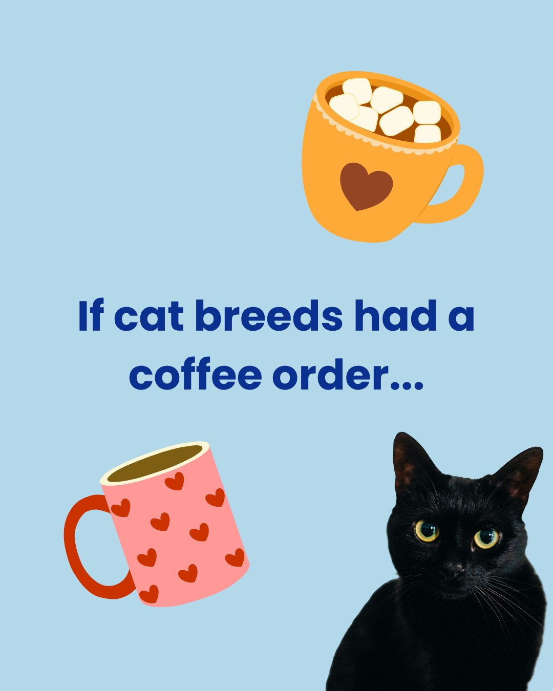 If cat breeds had a coffee order... these would be it! ☕ 🐱
What would your cat's coffee order be?
#Inaba #CatsOfInstagram #CatMemes