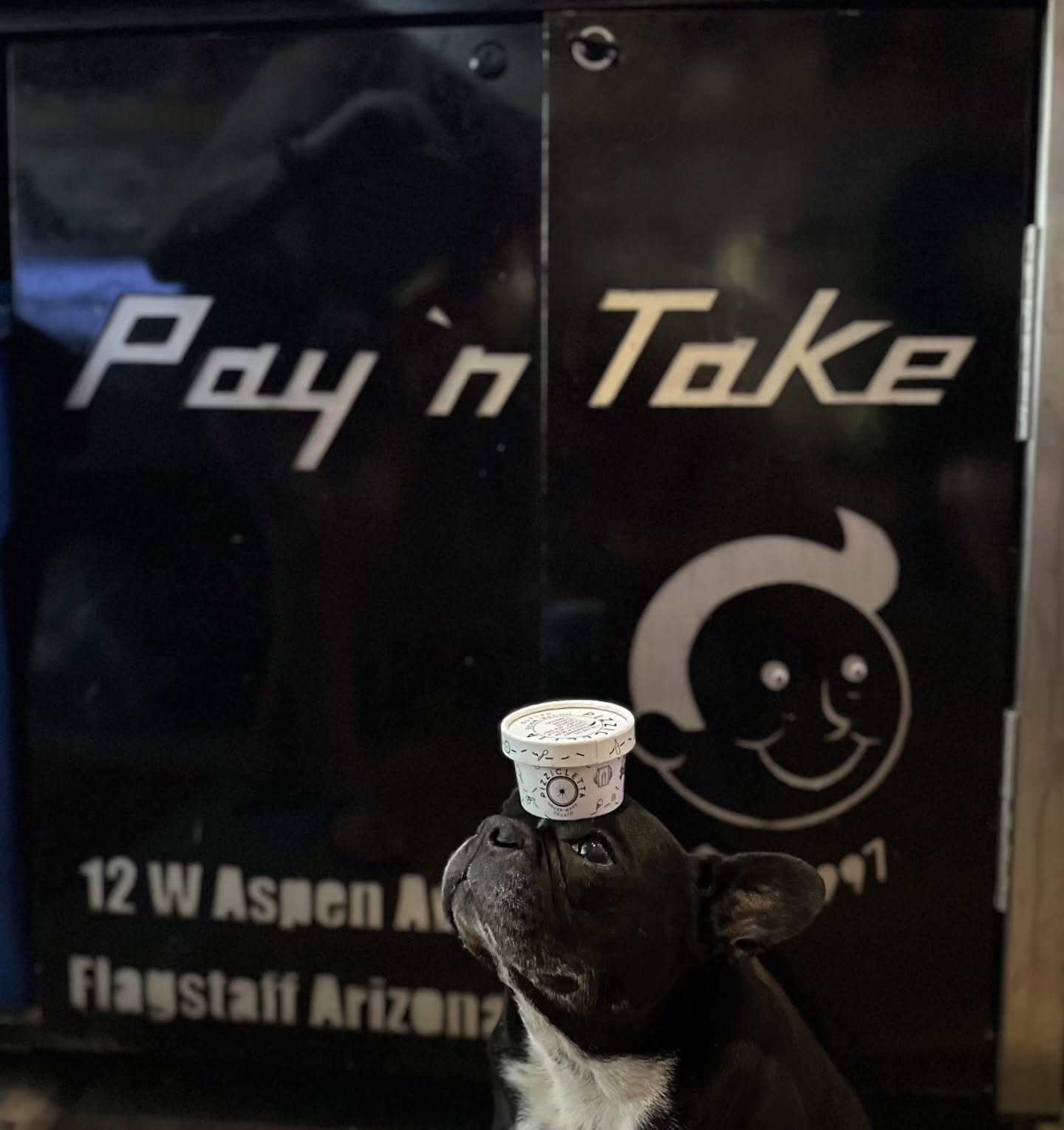 Midge found the Gelato! π¨
In case you missed it, we're now proudly serving up @pizzicletta gelato right at the shop. Single servings and pints are available for a sweet, cold treat! Come in and grab a beer, a pie, and a scoop!
We love working with local businesses that put love and care into everything they do. π«‘
#payntake #pizzicletta #downtownflagstaff #gelatopatio #canipetyourdog