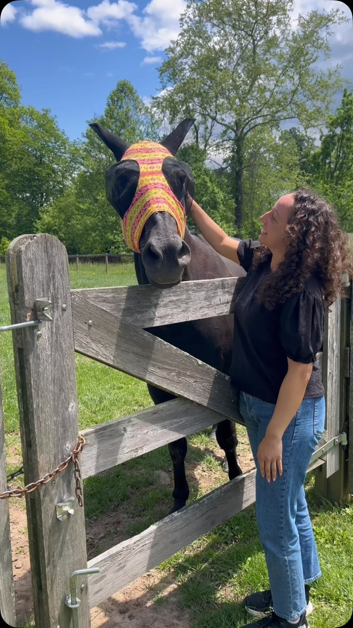 Summer is finally here at Ryerss Farm! 🐎🌞 Long days, green pastures, and plenty of sunshine. There’s nothing better than watching our horses embrace the joy of equine retirement. #ryerss #horse #peace #farm #summer