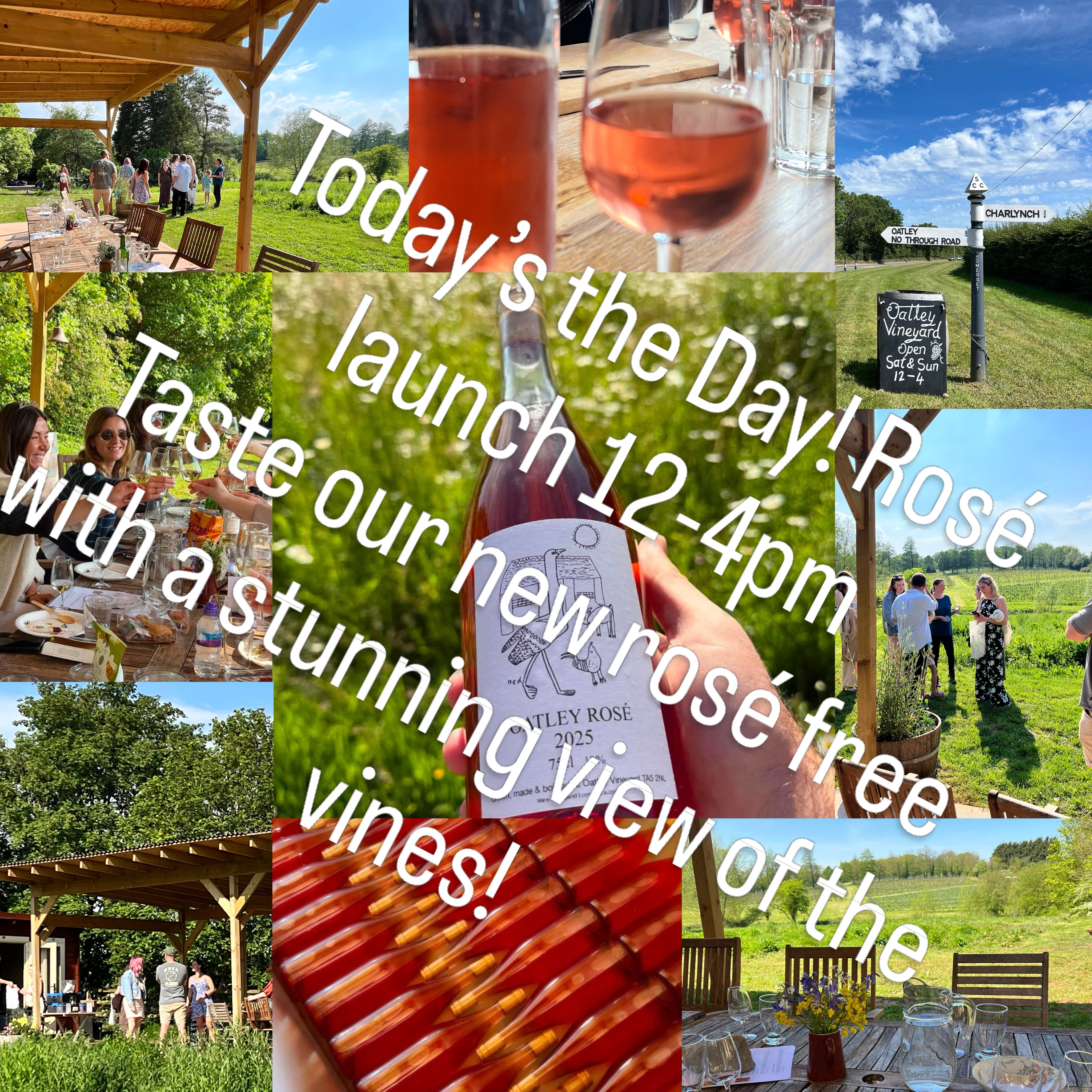 Sunday 21 June. Just pitch up for a free taste of our new 2025 rosé. With the label drawing Ned did aged 8 of our farmyard!
If it takes your fancy, you can take some home. Max of 6 per family as it’s a VERY limited edition.
Free parking. Dogs welcome.
