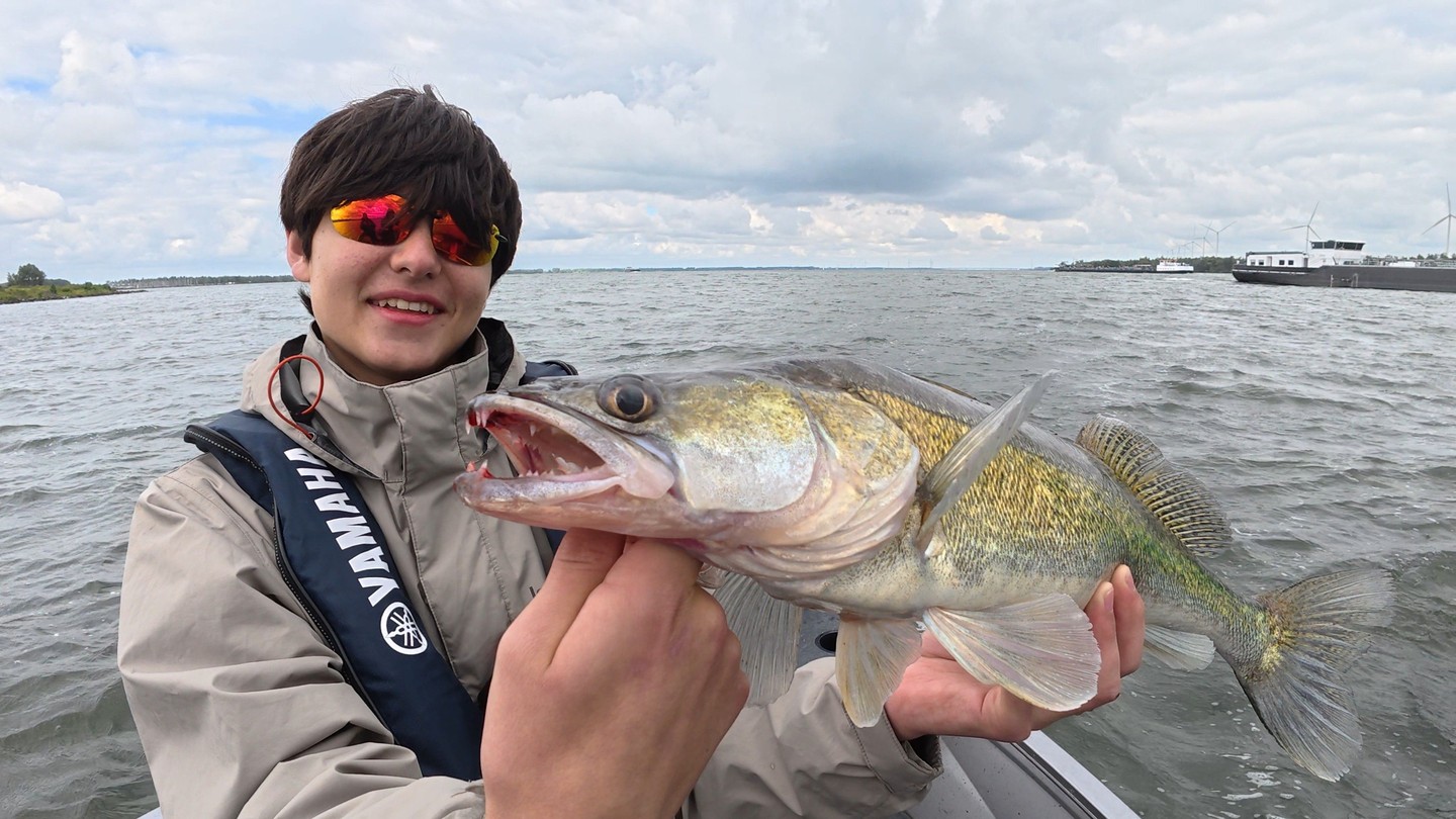 Last-minute kans! 🎣🔥
Aankomende woensdag (24/06) is onverwacht vrijgekomen voor snoekbaars.
Daarna zit alles vol tot 29 juli!
Dus twijfel niet: vol = vol 😉
Stuur een DM of app naar +31653316764
Last-minute opportunity! 🎣🔥
This Wednesday (24/06) suddenly became available for zander fishing.
After that, everything is fully booked until July 29!
So don’t wait: full = full 😉
Send a DM or WhatsApp to +31653316764
Last-Minute Chance! 🎣🔥
Diesen Mittwoch (24.06.) ist plötzlich ein Termin für Zander frei geworden.
Danach alles ausgebucht bis zum 29. Juli!
Also nicht zögern: voll = voll 😉
Schreib eine DM oder WhatsApp an +31653316764