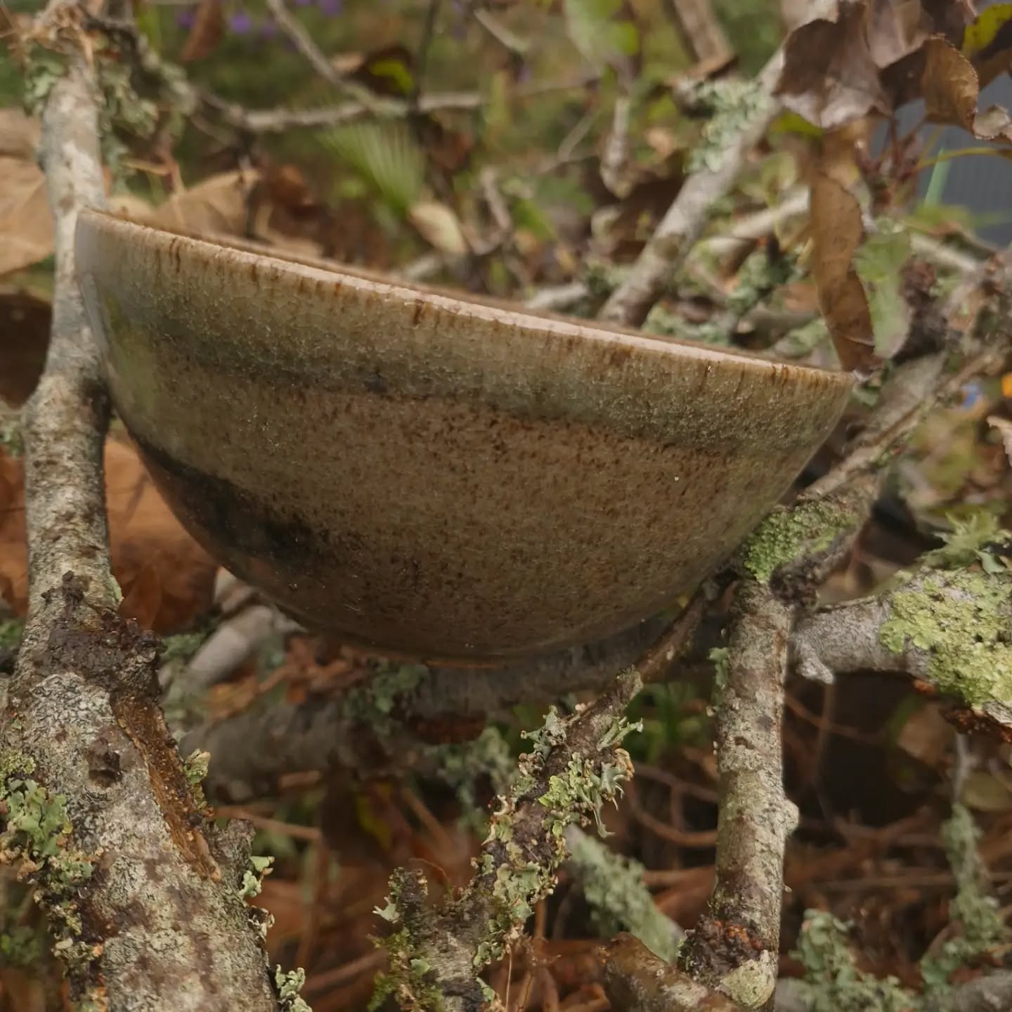 Could be charming but really represents the pruning piles and 2nds pots that hangout in the garden waiting for me to deal with them....for months