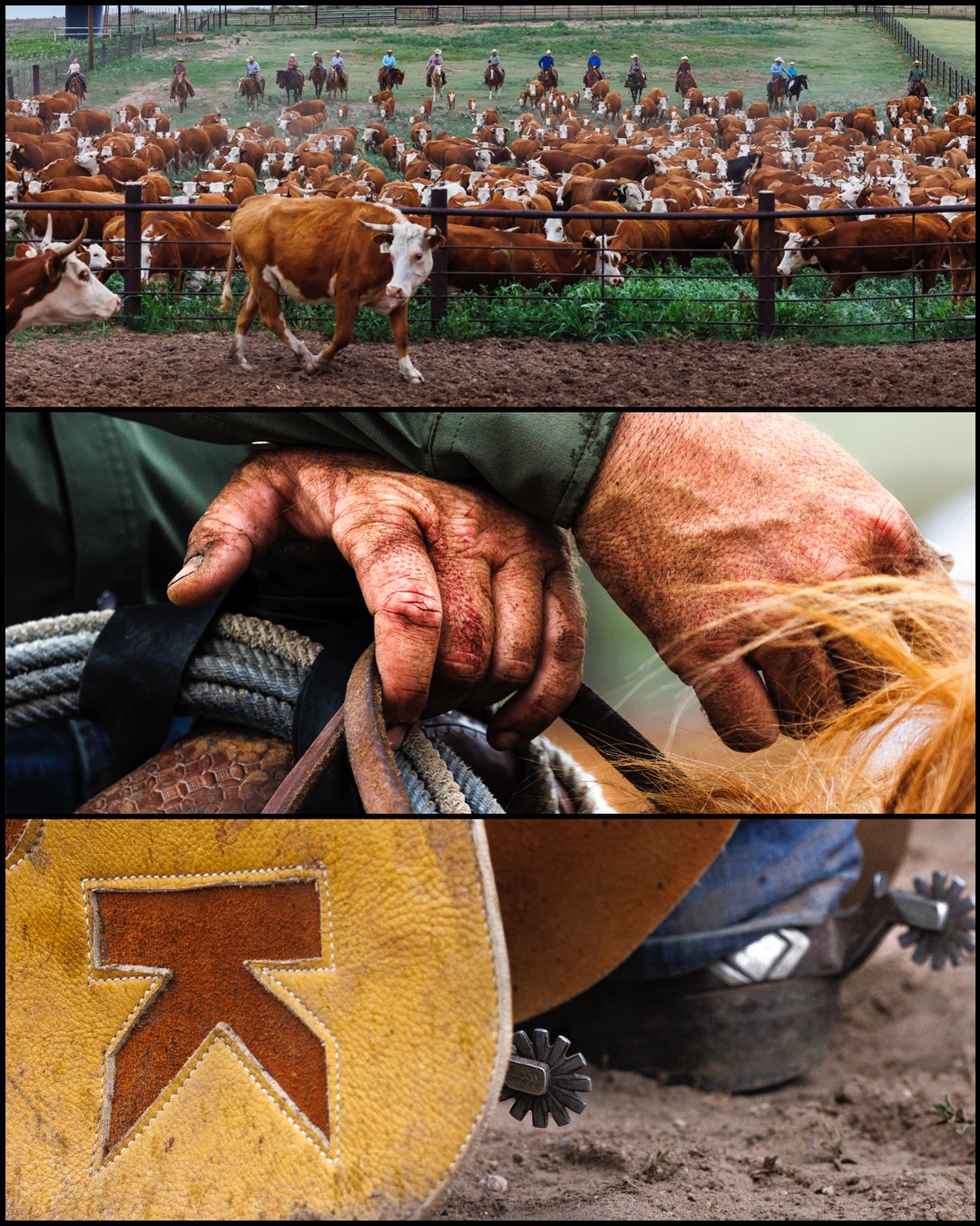 Before influencers, there were cowboys.
#ranchlife #cowboyculture #brandingday #texascattleranchers #ranchgenerations