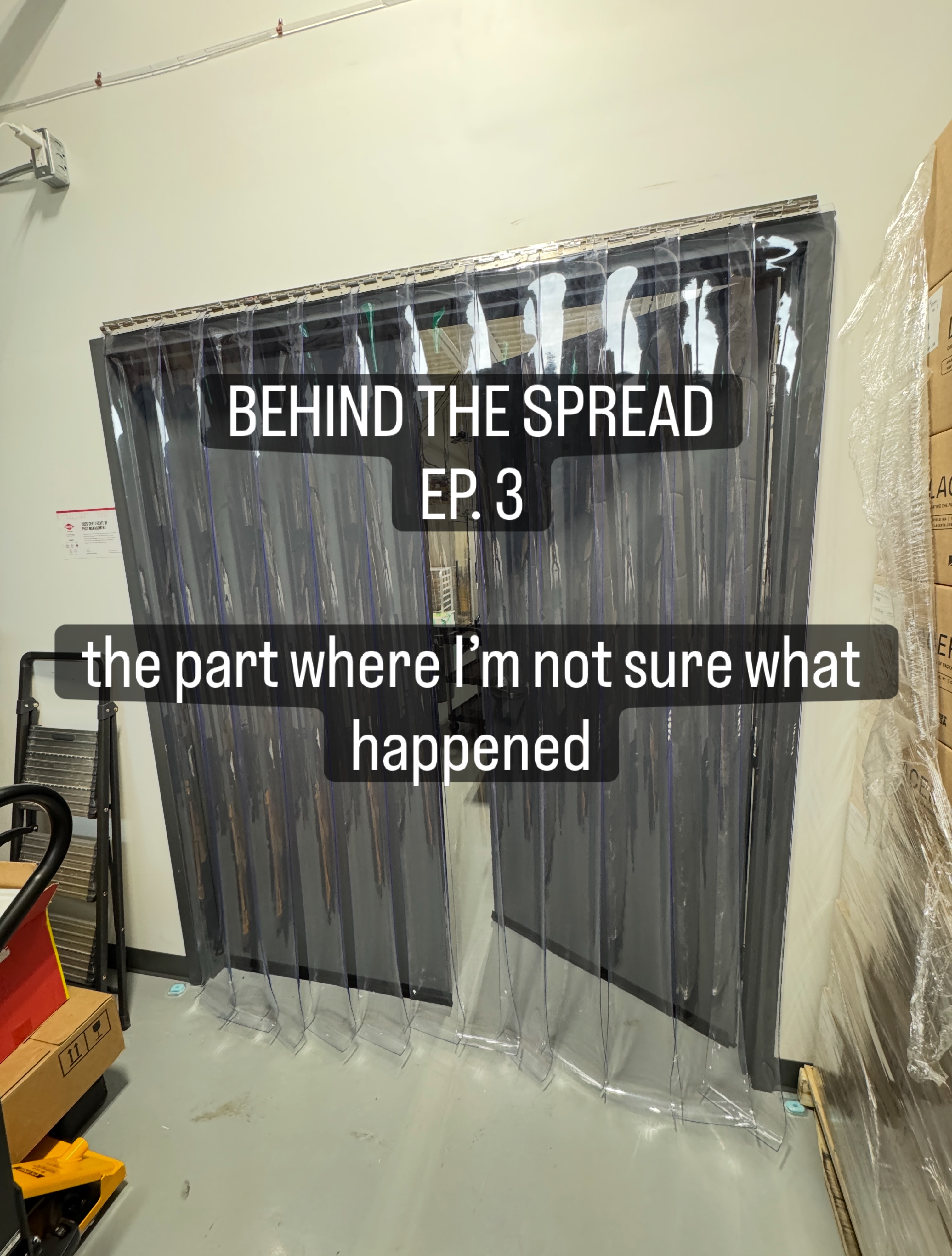 Behind The Spread — Ep. 3
June was our best month ever.
We’re still small, still learning, and still figuring out a million things behind the scenes — but more stores are saying yes, more people are trying us, and more customers are realizing grocery hummus can taste like the real thing
Lena’s Dips is inspired by my mom Lena and the way she made people feel through food: generous, thoughtful, and taken care of.
That’s what we’re trying to bring to the shelf.
Real ingredients. No compromises. Tasting like the real thing.
Just really good dips, one spread at a time.
#lenasdips