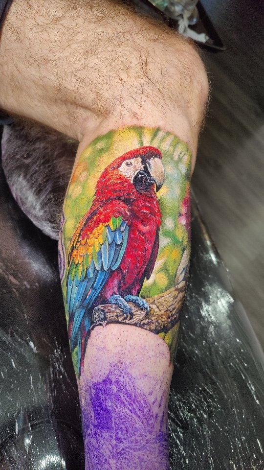 Start of a two day leg piece for Stu. Inspired by Costa Rica's wild life. Today we did the Scarlet Macaw. Thaaaaanks.
.
.
..
@intenzetattooink @eztattooing @ghostlineapp @afterart.newzealand @inkpro_nz @fkirons @hustlebutterdeluxe #intenze #intenzeink #intenzeteam #afterart ghostlineapps