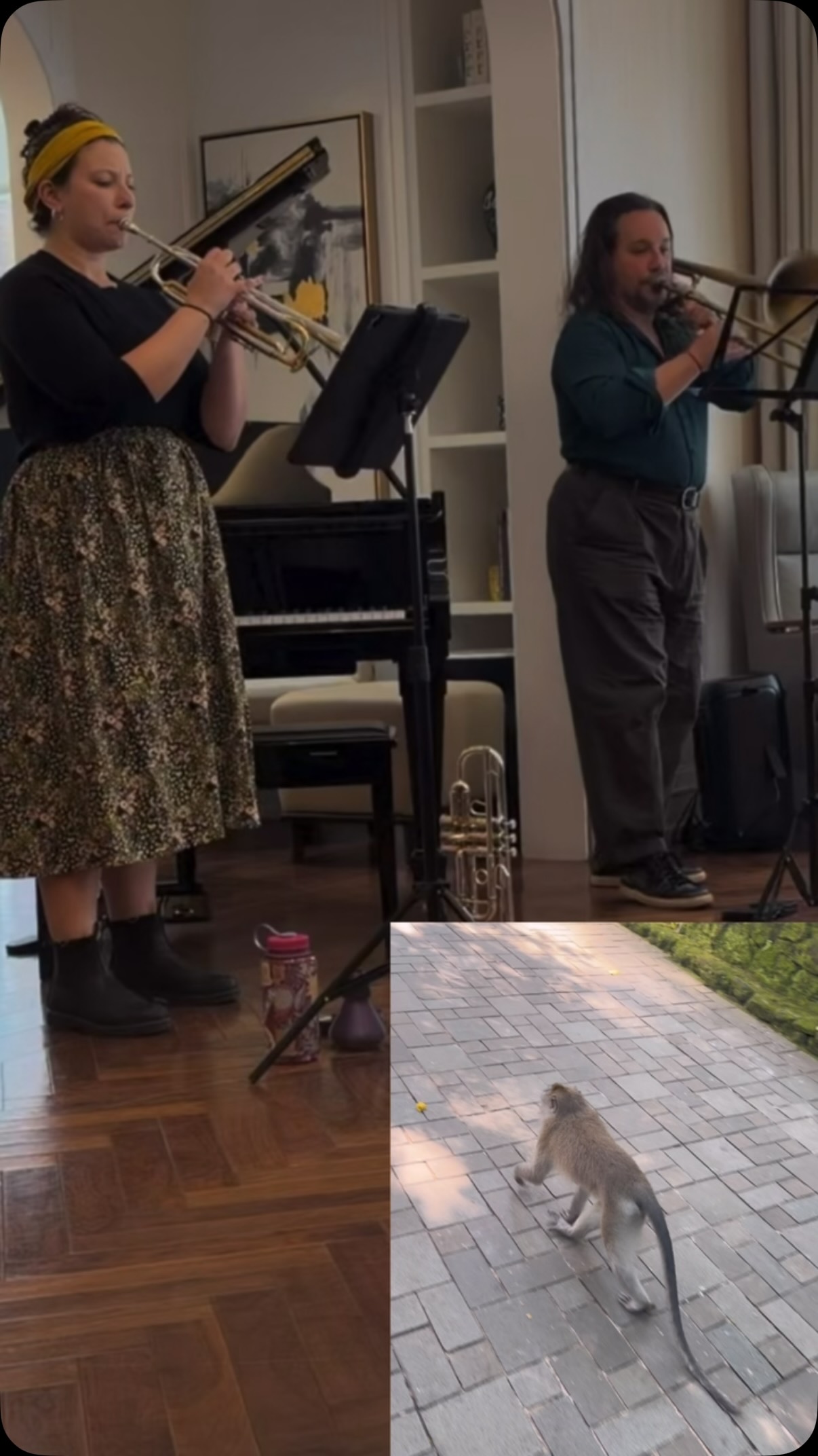So excited to finally share a clip of @soft_butch_emoji ‘s super fun piece “Hundredth Monkey” that @williamkeatslang and I performed in May 🐒 Had to combine it with some footage from yesterday in @monkeyforestubud in Bali because the sights were something else! 🎺 PS: do you hear the Rite of Spring quote 🙊
•
#musicianlife #travelingmusician #trumpetplayer #chambermusic #trumpet