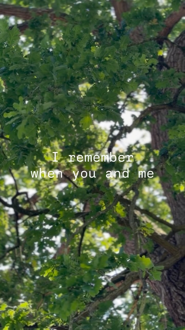 I had the delight of visiting these majestic old Oak trees a few days ago, near where I grew up in Surrey, UK… the most incredible trees I’ve ever shared breath with 🙏
I was reminded of this song , and the ‘me’ back in time who wrote it .. a song - captured like a photo album of feeling , heart strings & gratitude for life lived …
With the wonderful @leedwestwood on dulcimer!
#memoriesforlife❤️ #pastlove #acousticmusic #oaksong #songsasphotographs