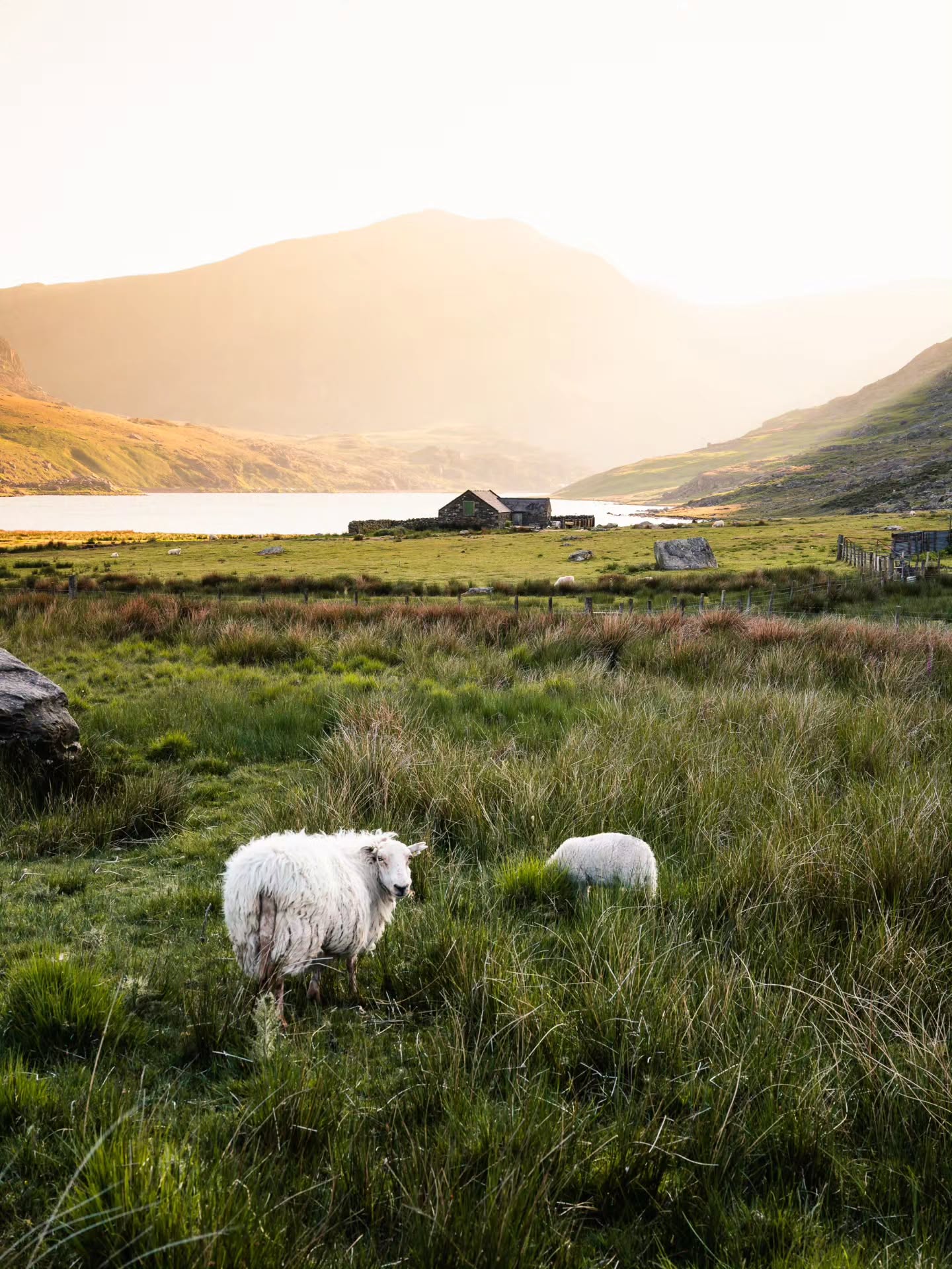 Rural sunset in Snowdonia
#snowdonia #wales #eryri