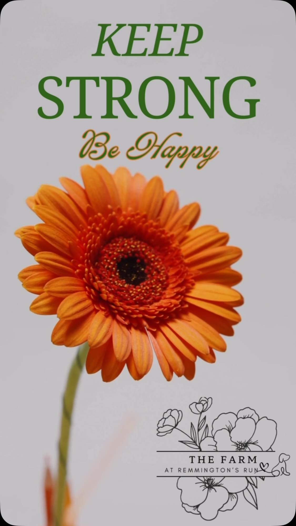 Stay strong through the hard days, stay humble through the good ones, and always choose kindness. You never know what someone else may be carrying, and a little grace can go a long way.
Keep going. Keep growing. Keep being kind. ❤️
#KindnessMatters #StayStrong #ChooseGrace #GrowThroughWhatYouGoThrough #TheFarmAtRemmingtonsRun