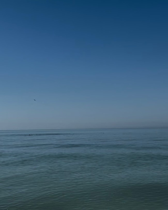 📣Hello fellow Beach Peeps!
Finally, it’s summer!
Are you craving the beach but unable to get there just yet? 🏖️
Caught up in all the things… the job, kids, caring for aging parents, and the never-ending To-Do list? 📋
I gotcha!
✨ Complimentary Coastal Mindfulness Session✨
🗓️ Wednesday evening June 24th at 7PM
Join me Wednesday evening and gift yourself a gentle pause before the day comes to a close.
Step away from the daily noise and into a calming coastal-inspired mindfulness practice designed to help you shift your energy, release the tension of the day, and prepare for a more peaceful night’s rest.
Together, we’ll create space to breathe, soften, and reconnect with the quiet wisdom and peace that already lives within you. 🧘♂️
Allow the soothing rhythm of the sea, the sound of the waves, and the beauty of the shoreline to guide you into relaxation, presence, and calm. 🌊
✨FREE virtual Mindfulness session
✨No experience needed- simply arrive as you are
✨Especially for women navigating full seasons of life
✨Approximately 30-45 minutes
Find a comfortable spot, cozy blanket if you desire, perhaps a cup of tea and allow yourself a few moments to be carried away to the shoreline.
Flip flops optional… as always! 🩴🩴
Come as you are. Leave feeling lighter, calmer, and more centered.
Comment SEA or send me a DM and I’ll send you the link.
Meet you by the shoreline!
💙 Ro
www.coachingbyro.com
#CenteredByTheSea #MindfulnessPractice #BlueSpaceWellness #MidlifeWomen #Relaxation StressRelief CoastalMindfulness InnerPeace