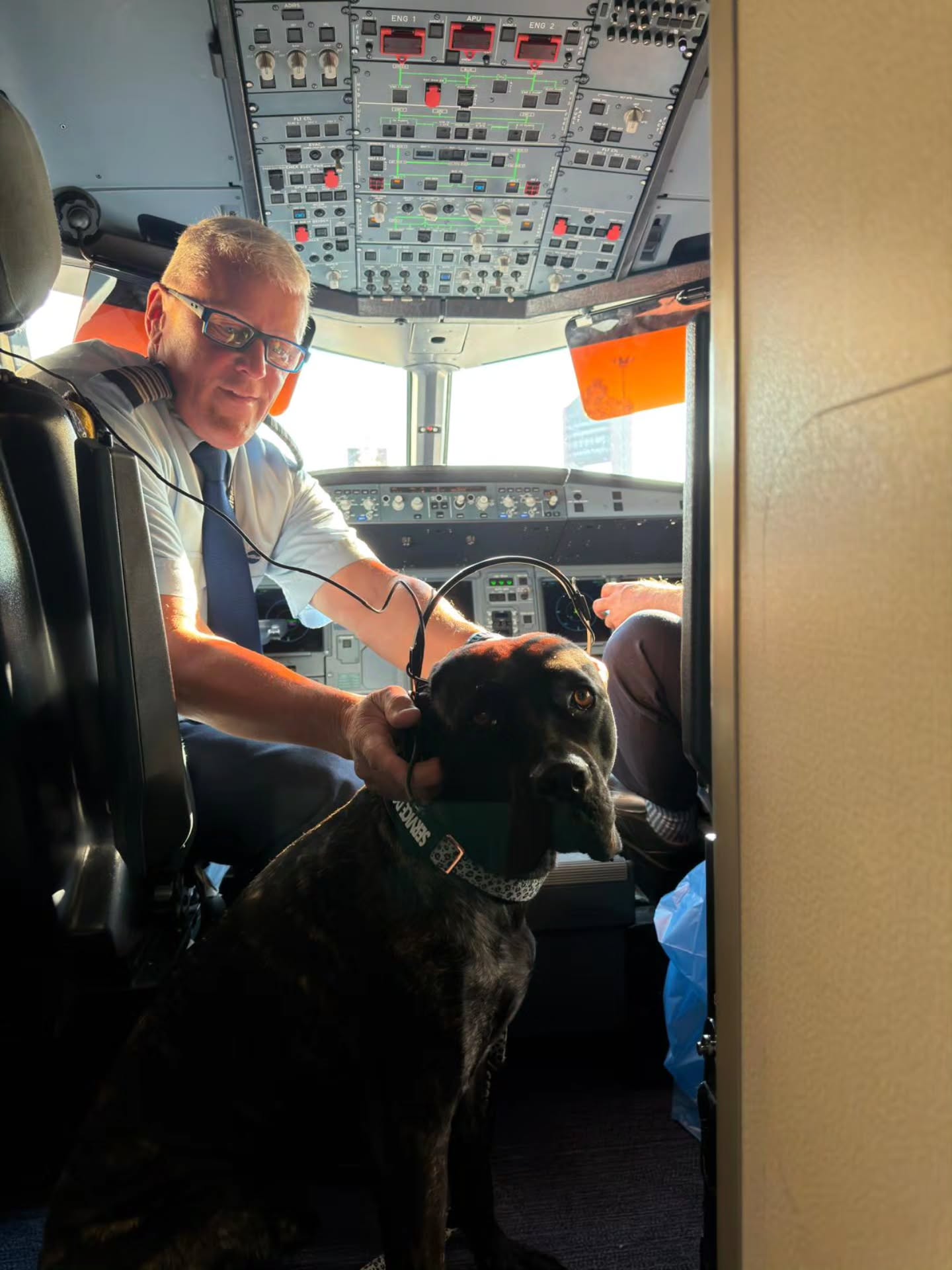 The co-puplot (co-pilot) 😆
Thank you to @jetblue for the best service and best time for Captain Clark ❤️
