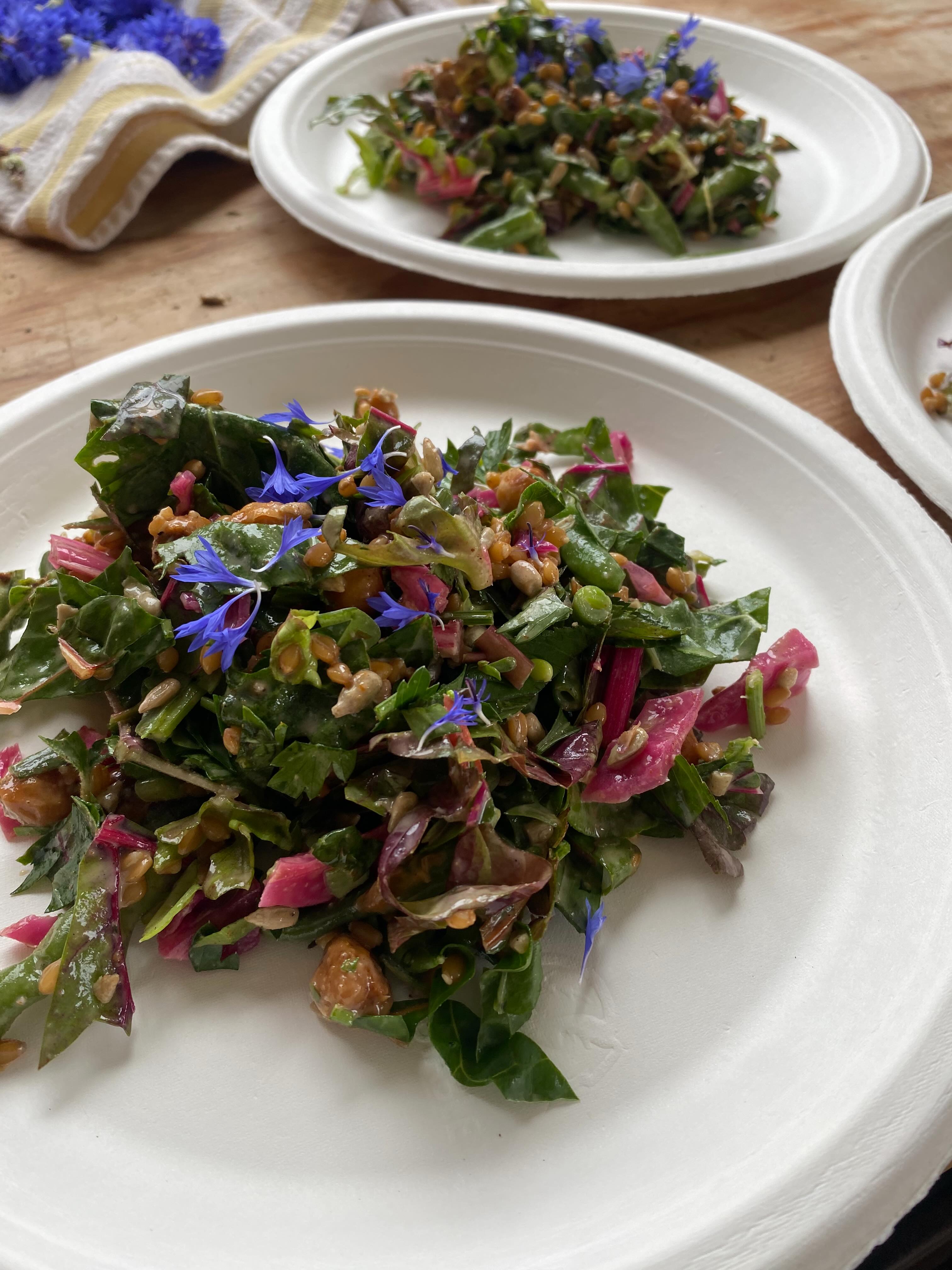 What a difference one little garden flower garnish can make 🌈 . We foraged for wild and cultivated greens (purslane, lambs quarter, chicory, chard, lettuce, mint) tossed them together with einkorn berries, fermented veg, chickpeas and more ~ and topped with some cornflowers (my favorite). A lovely lunch was had! Happy Summer.