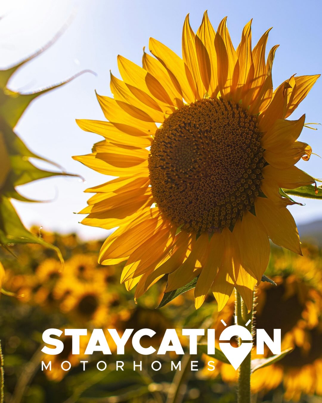 Book now for Summer 2027☀️
July is filling fast and August is getting busy. If you’re dreaming of a longer trip, don’t delay - lock in your dates, then sit back, relax and let the adventure come to you.
Check live availability for your preferred motorhome via the link in our bio 🚐