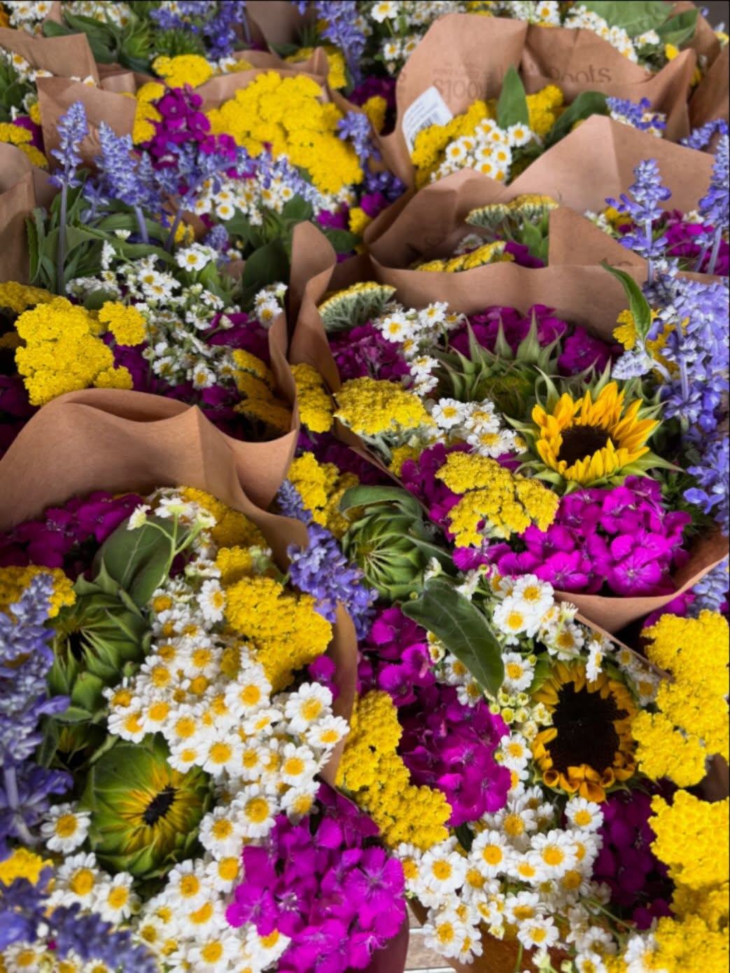 I like to say @karnsfoods gave me a chance when I really didn’t deserve a chance. In 2008 I walked into the Boiling Springs store and asked them if they’d like to buy my bouquets. I had just been growing a year on my own and was still figuring a lot out. My crop plan needed work to reach consistency and my growing skills needed much practice. To my surprise, they said yes! My first order was for $264. And I know I agonized over those bouquets to make them perfect.
Today begins our 19th season of selling flowers to @karnsfoods and I will be forever grateful for Karns for taking a chance on me. This store truly supports our regions local farms. I hope you can get to a Karns location and grab a Roots bouquet this week. The sunflowers are beaming and the feverfew is sweet as ever.