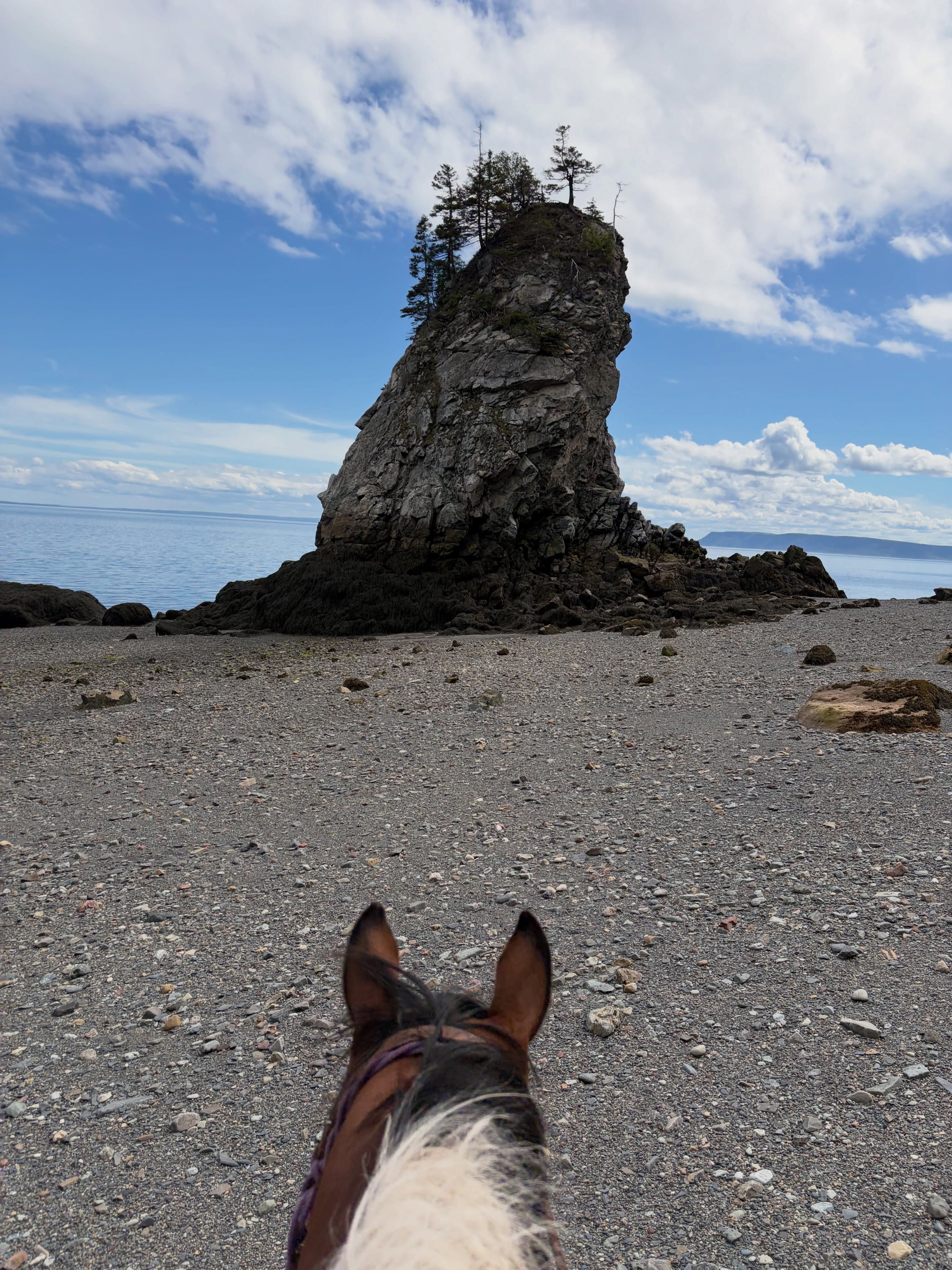 A week for the books!😍 #spiritreinsranch #novascotia #parrsboro #twoislands #bayoffundy